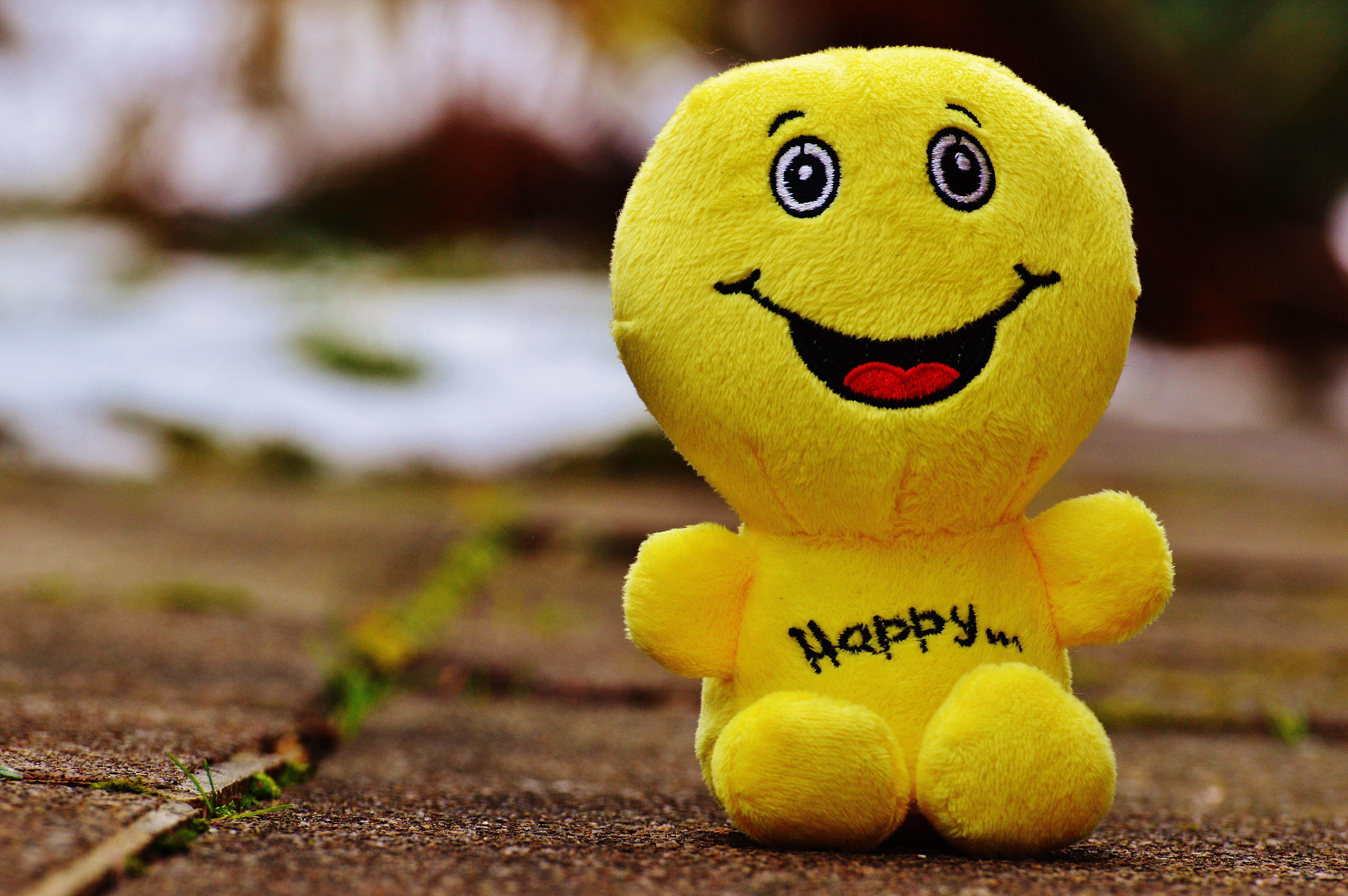 joy of life, bear, courage, sweet, good mood, emoji, laugh, smile, photo, beginning, outdoors, happiness, art and craft, emoticon, toy, close-up, childhood, HD Wallpaper