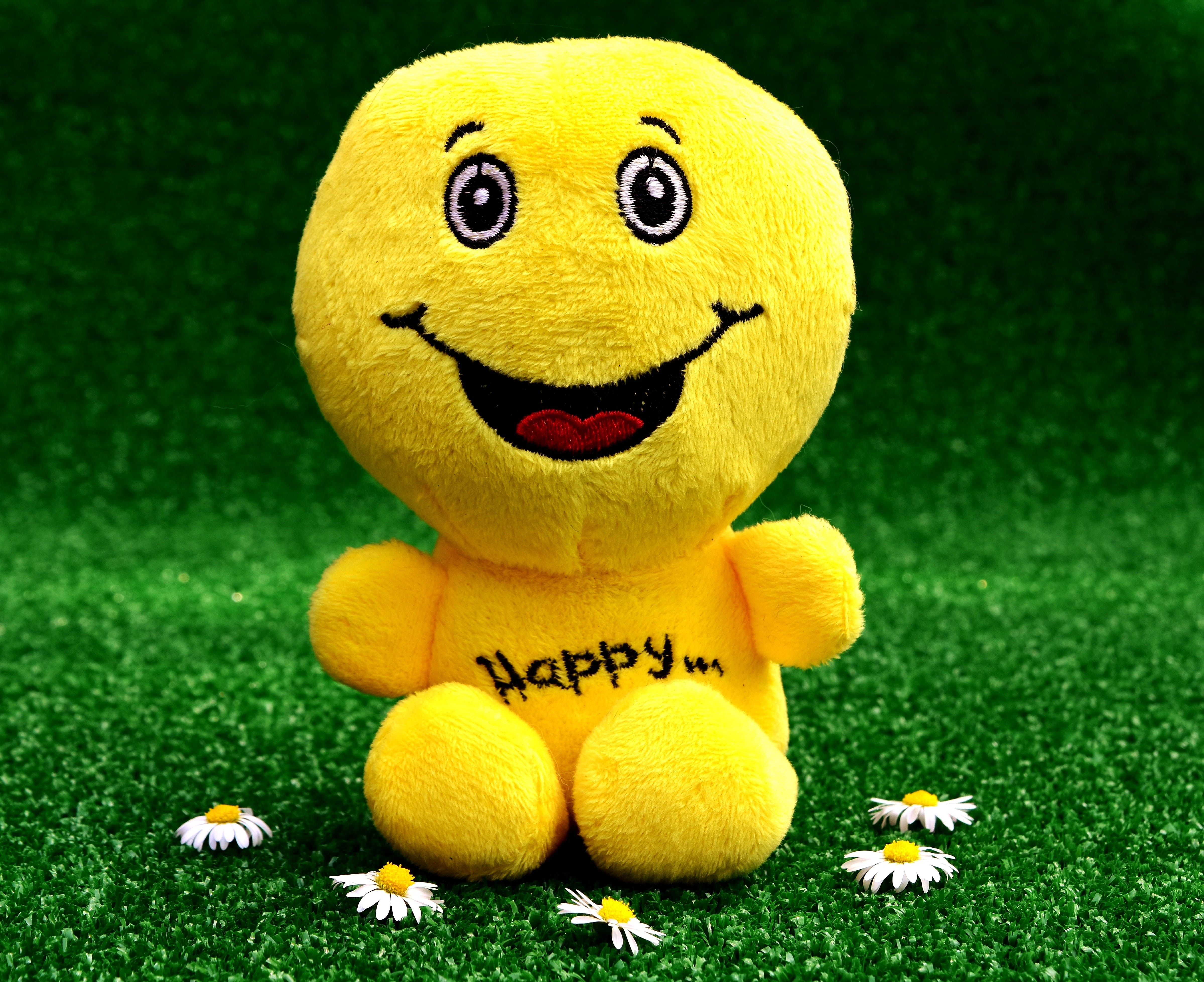 4K, close-up, cheerful, emotions, color, fun, creativity, communication, smile, nature, anthropomorphic face, day, grass, land, representation, plush, HD Wallpaper