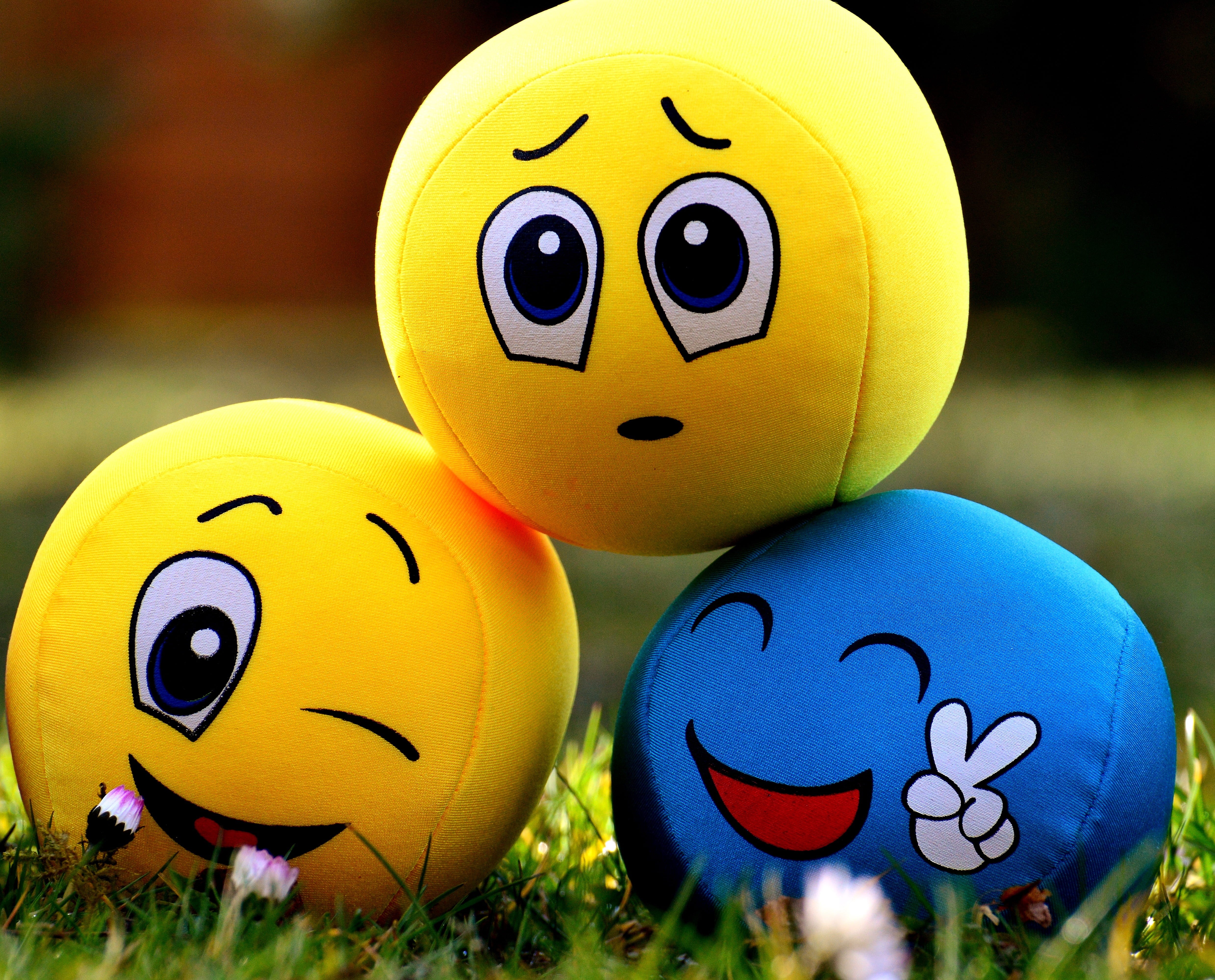 4K, grass, toy, smiling, smilies, celebration, smiley, blue, multi colored, green color, plush, yellow, no people, plant, nature, cute, color, group of objects, HD Wallpaper