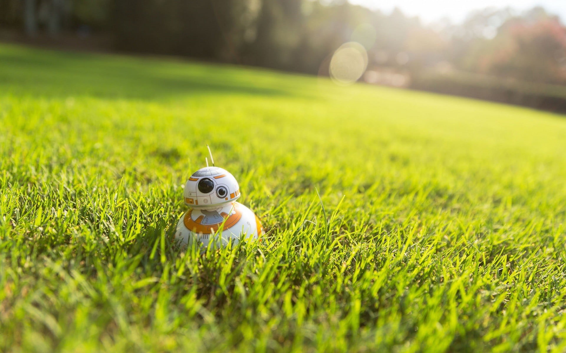 ball, Toy, sport, 1080P, golf, nature, backgrounds, easter, selective focus, representation, season, grass, plant, day, close-up, symbol, BB-8, Star Wars, HD Wallpaper