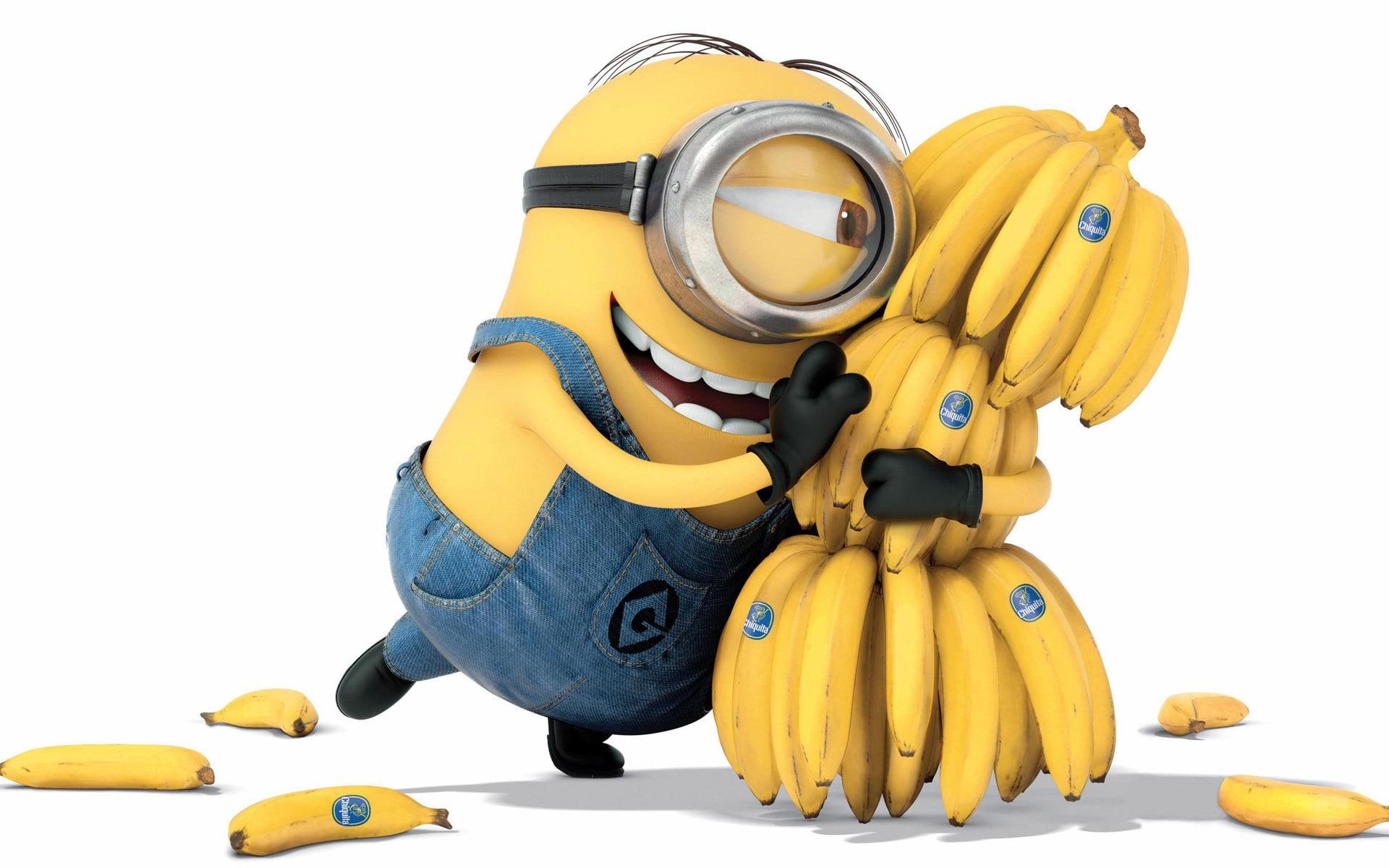 minion, minions, photo, cartoons, 1920x1200, despicable me, despicable, 1080P, HD Wallpaper