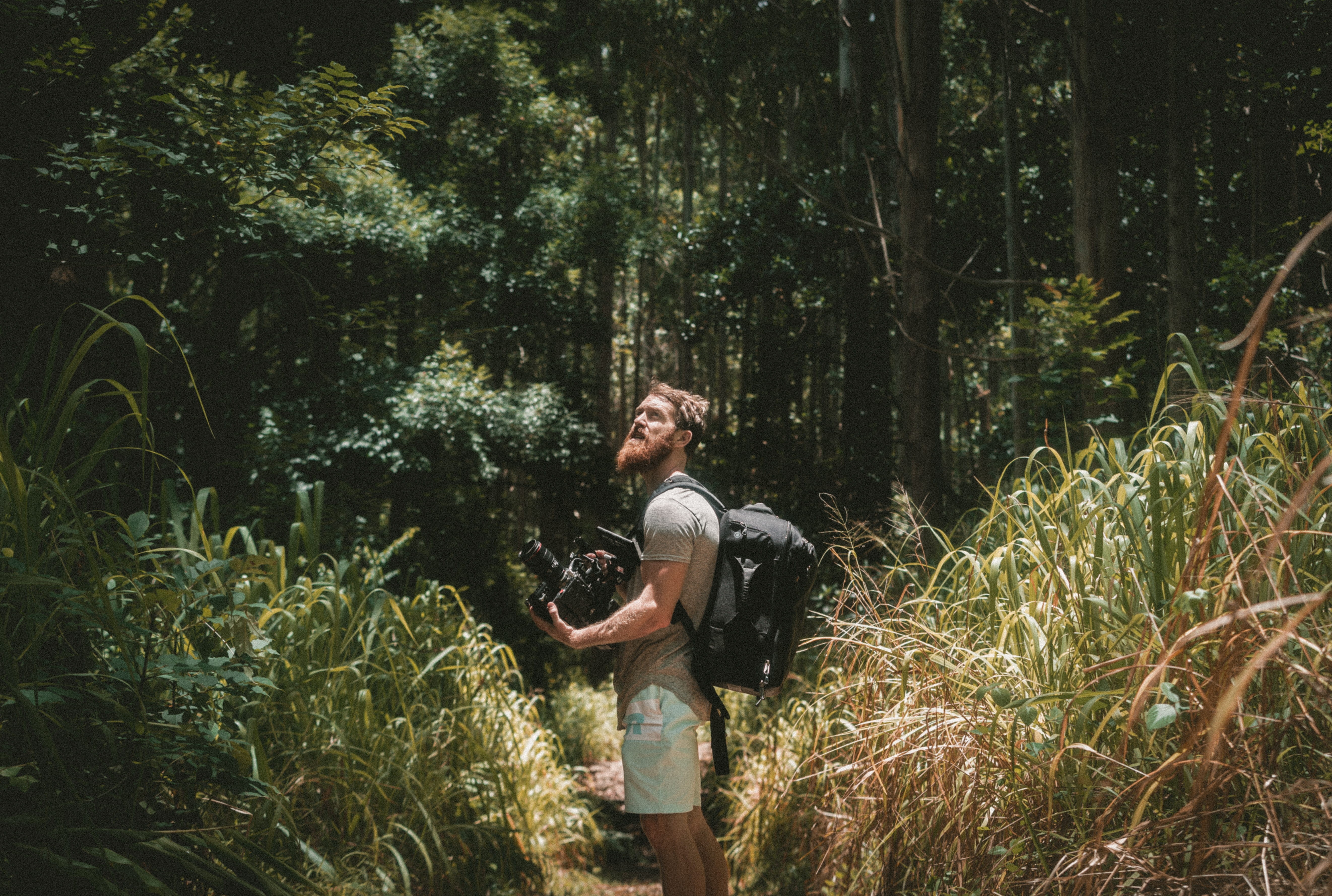 outdoors, image Technique, descriptive Position, caucasian Ethnicity, adult, camera, real people, physical Activity, growth, women, mature adult, plant, HD Wallpaper