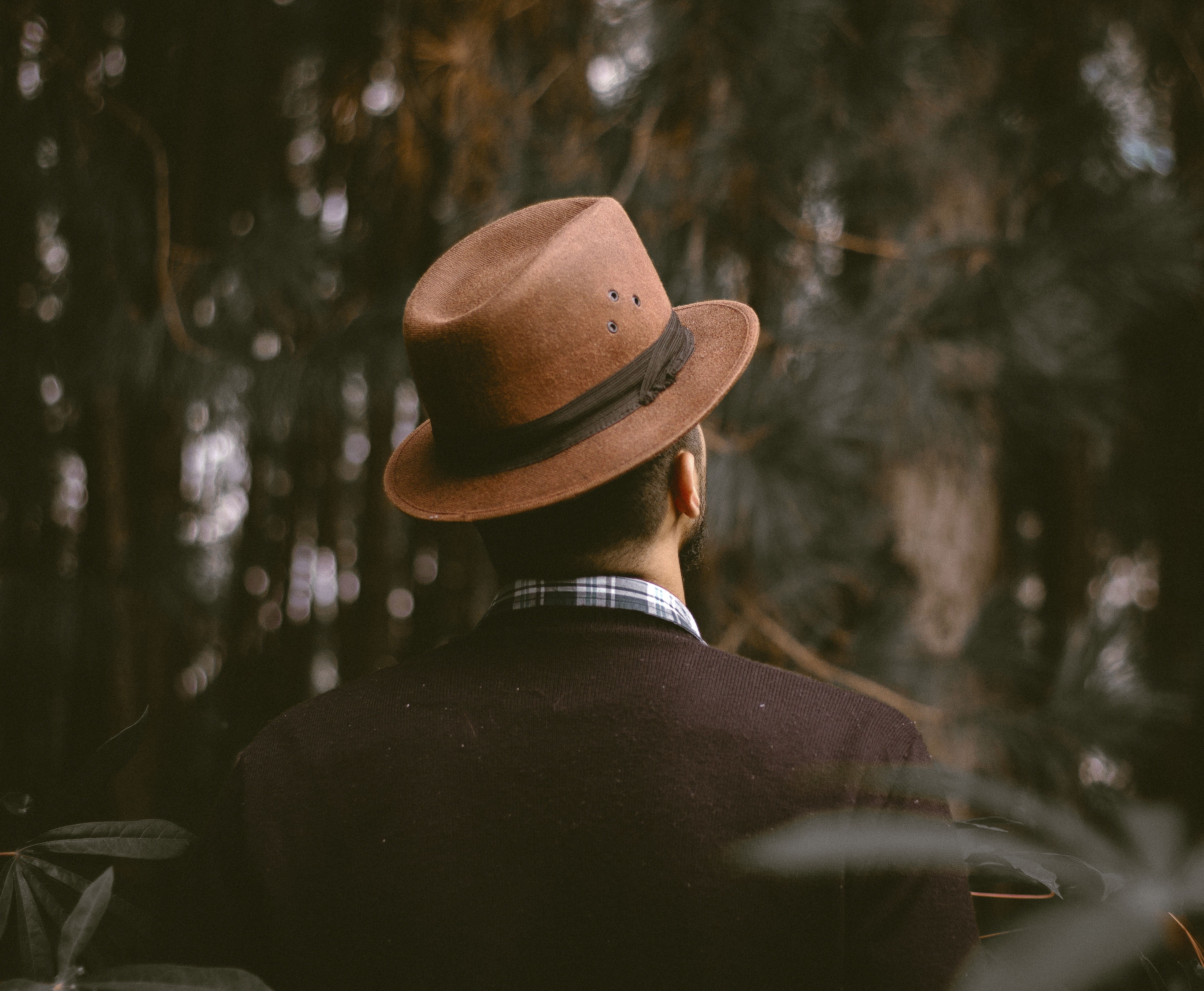 males, adult, rear view, 4K, fedora, plant, people, woods, tree, nature, men, cowboy hat, man, one Person, forest, headshot, real people, portrait, looking at view, HD Wallpaper