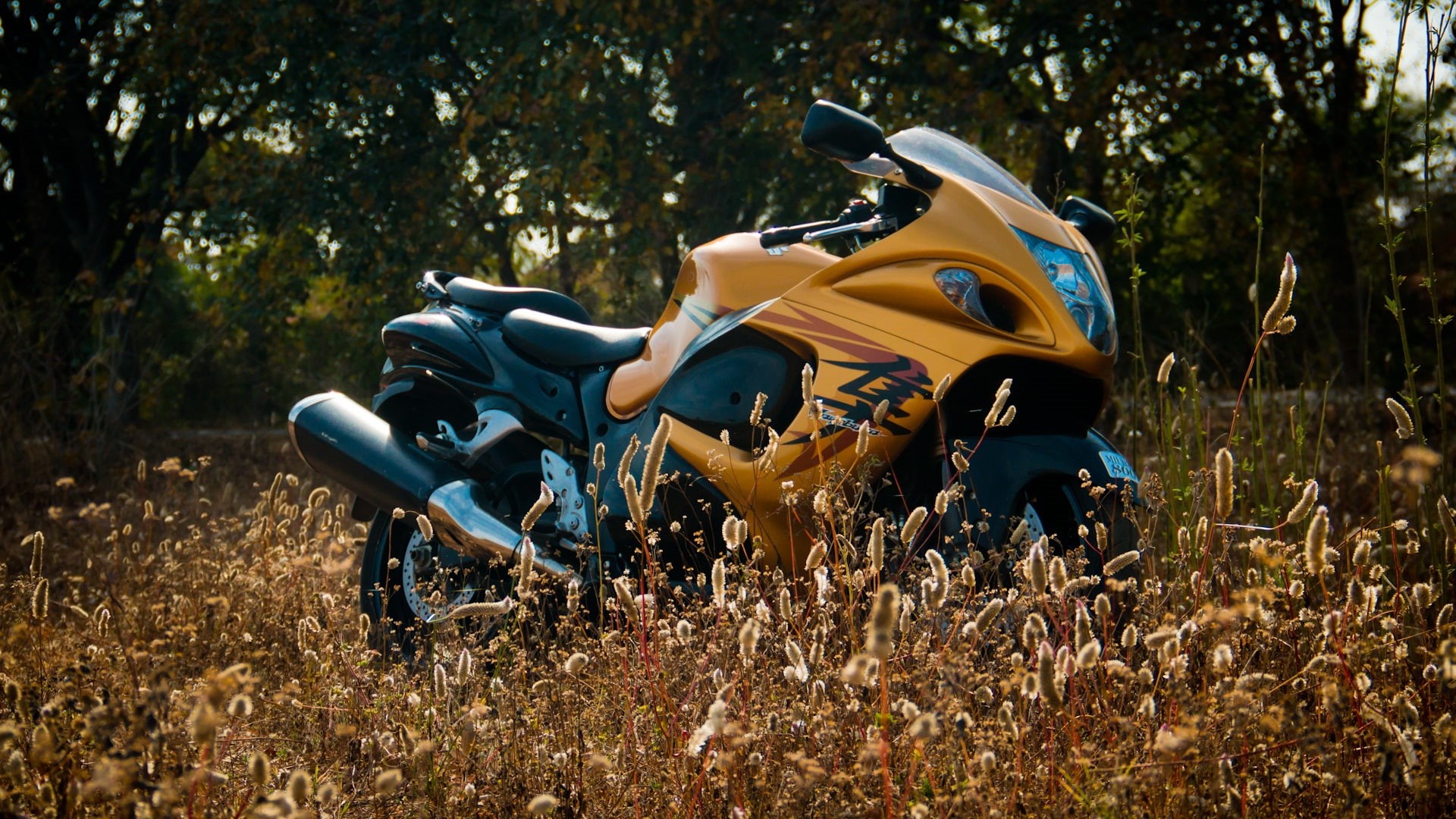 bike, suzuki, 1080P, motorcycle, hayabusa, motorbike, superbike, HD Wallpaper