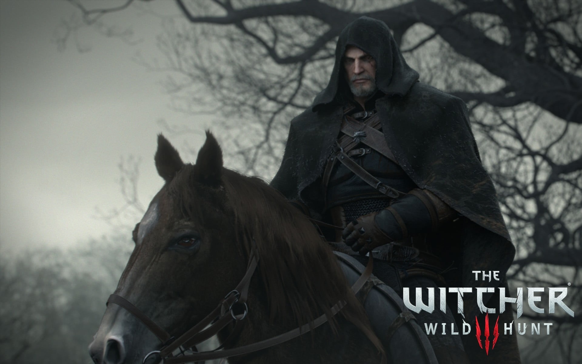 domestic, witcher, horseback riding, riding, The Witcher 3: Wild Hunt, domestic animals, one person, outdoors, herbivorous, activity, 1080P, HD Wallpaper