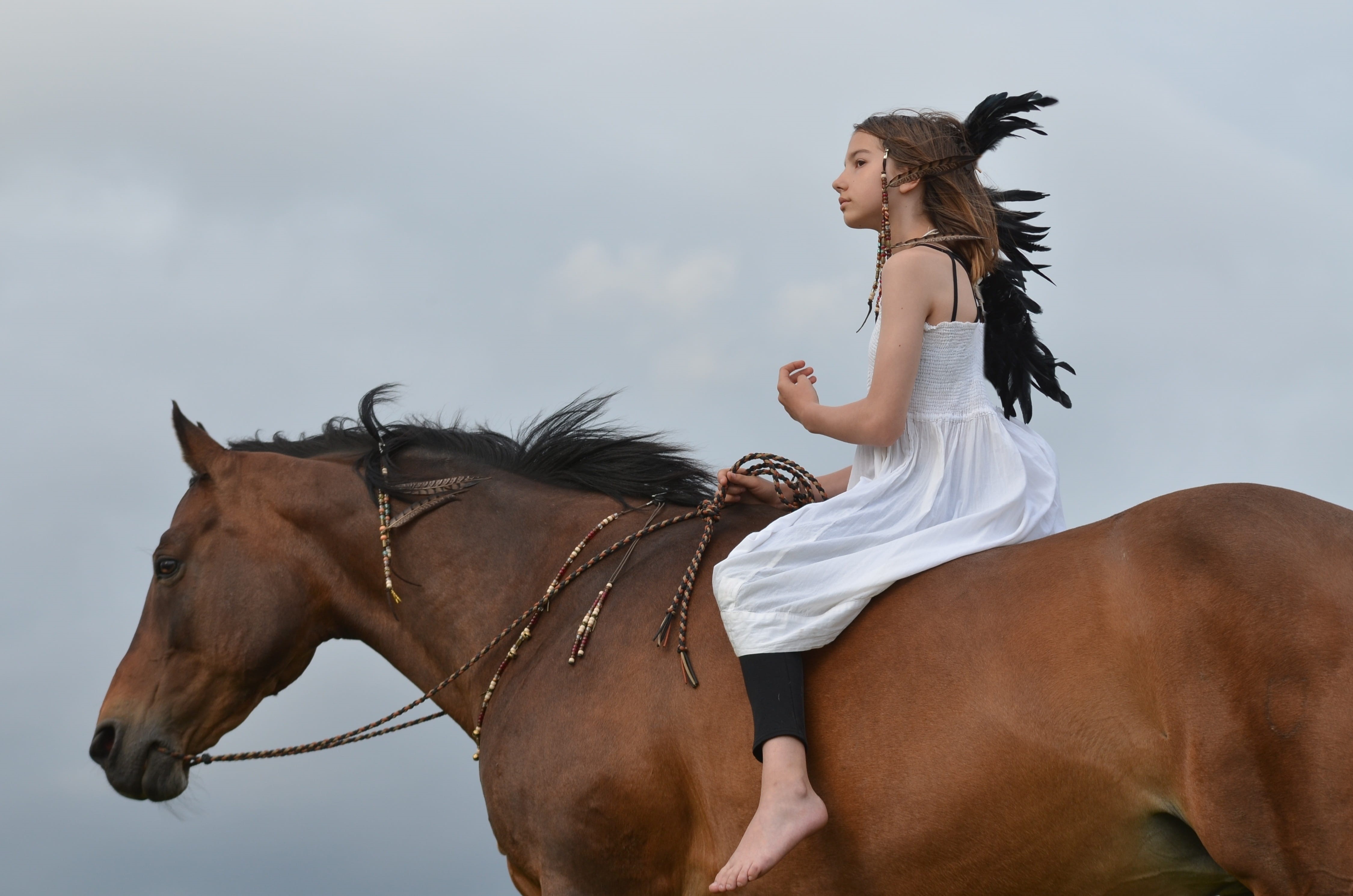 animal wildlife, livestock, native american, one animal, vertebrate, equestrian, pets, horse, women, equine, ride, herbivorous, girl, outdoors, brown, bay, HD Wallpaper