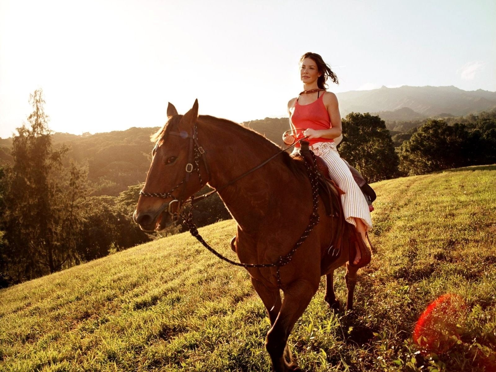outdoors, horseback riding, nature, one person, leisure activity, mammal, one animal, animals, animal wildlife, land, riding, actress, domestic animals, HD Wallpaper