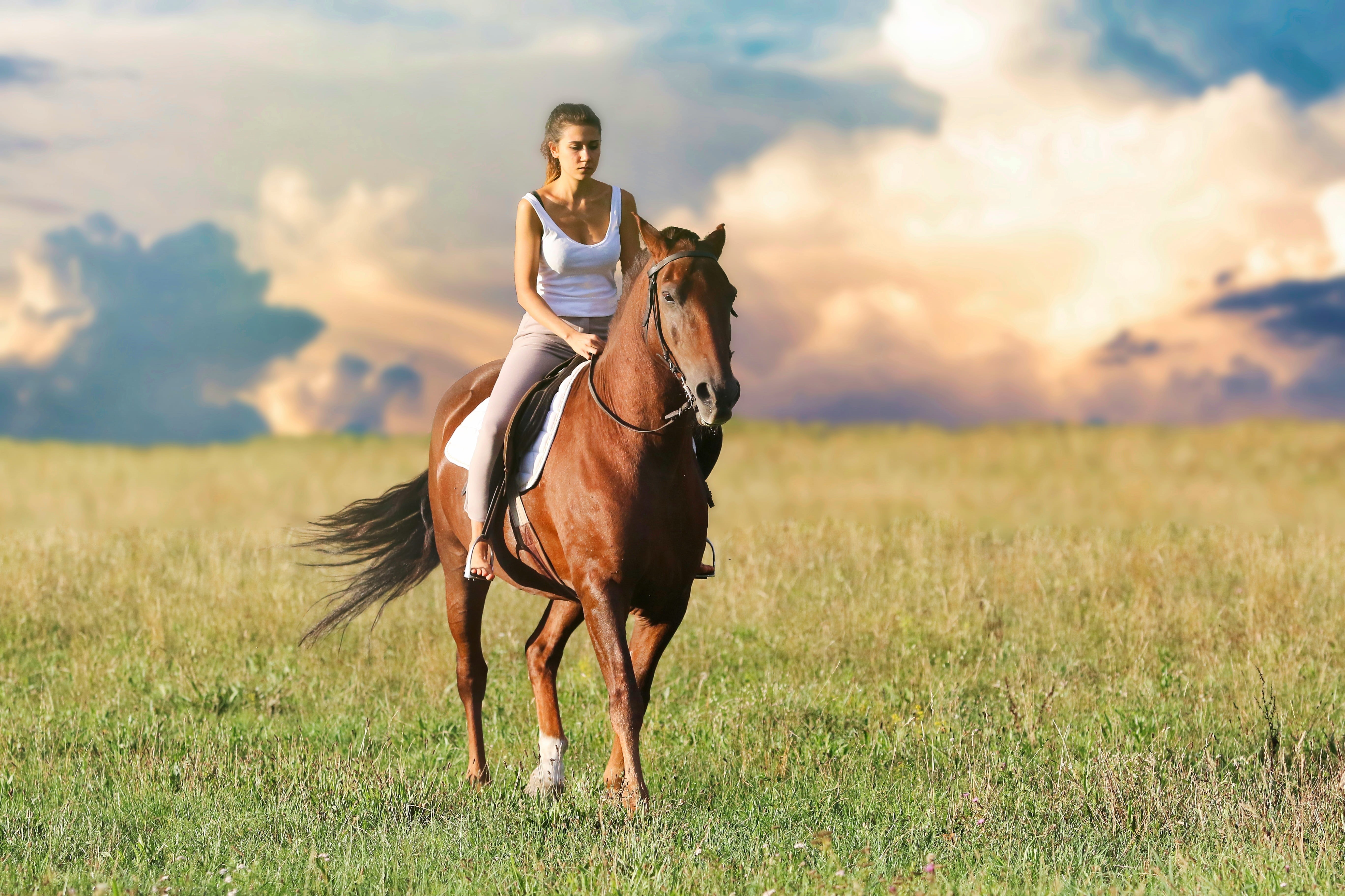 mare, coachman, nature, mountain, prato, one animal, wild horse, hay, animal, one person, horseback riding, girl, field, land, animal themes, blonde, affectionate, HD Wallpaper