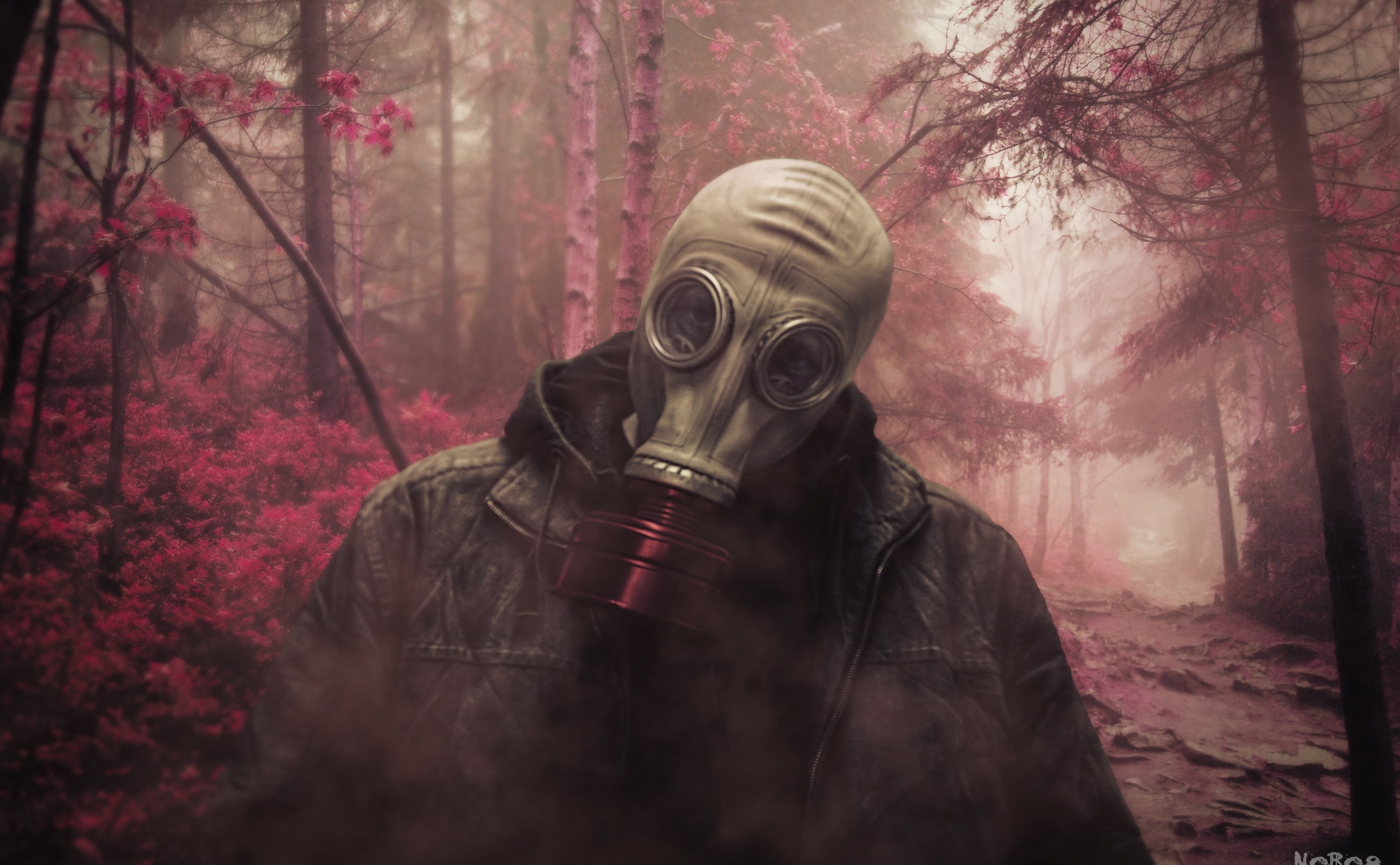 smoke - physical structure, Processing, men, portrait, land, Mood, air, Photoshop, 4K, plant, unrecognizable person, gray, standing, nature, headshot, HD Wallpaper