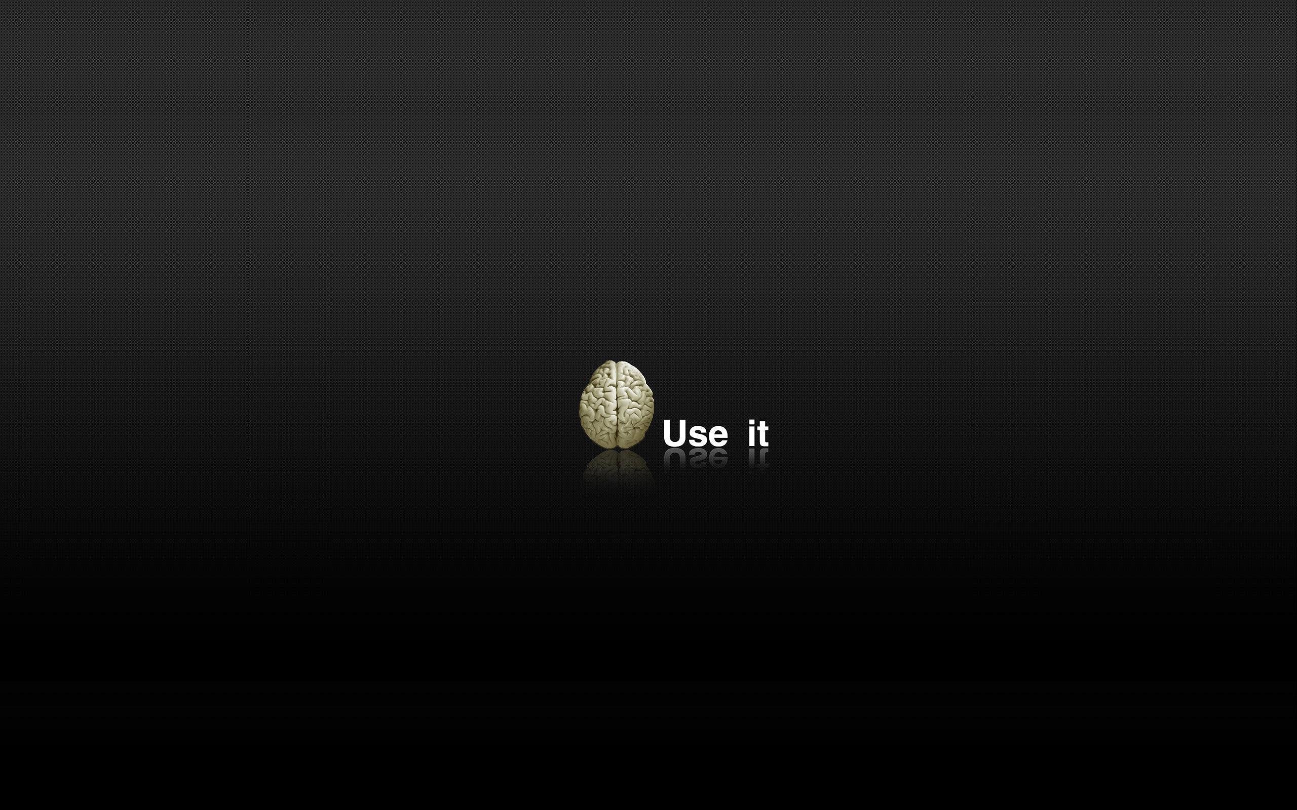 brain, your, use, 2K, funny, HD Wallpaper
