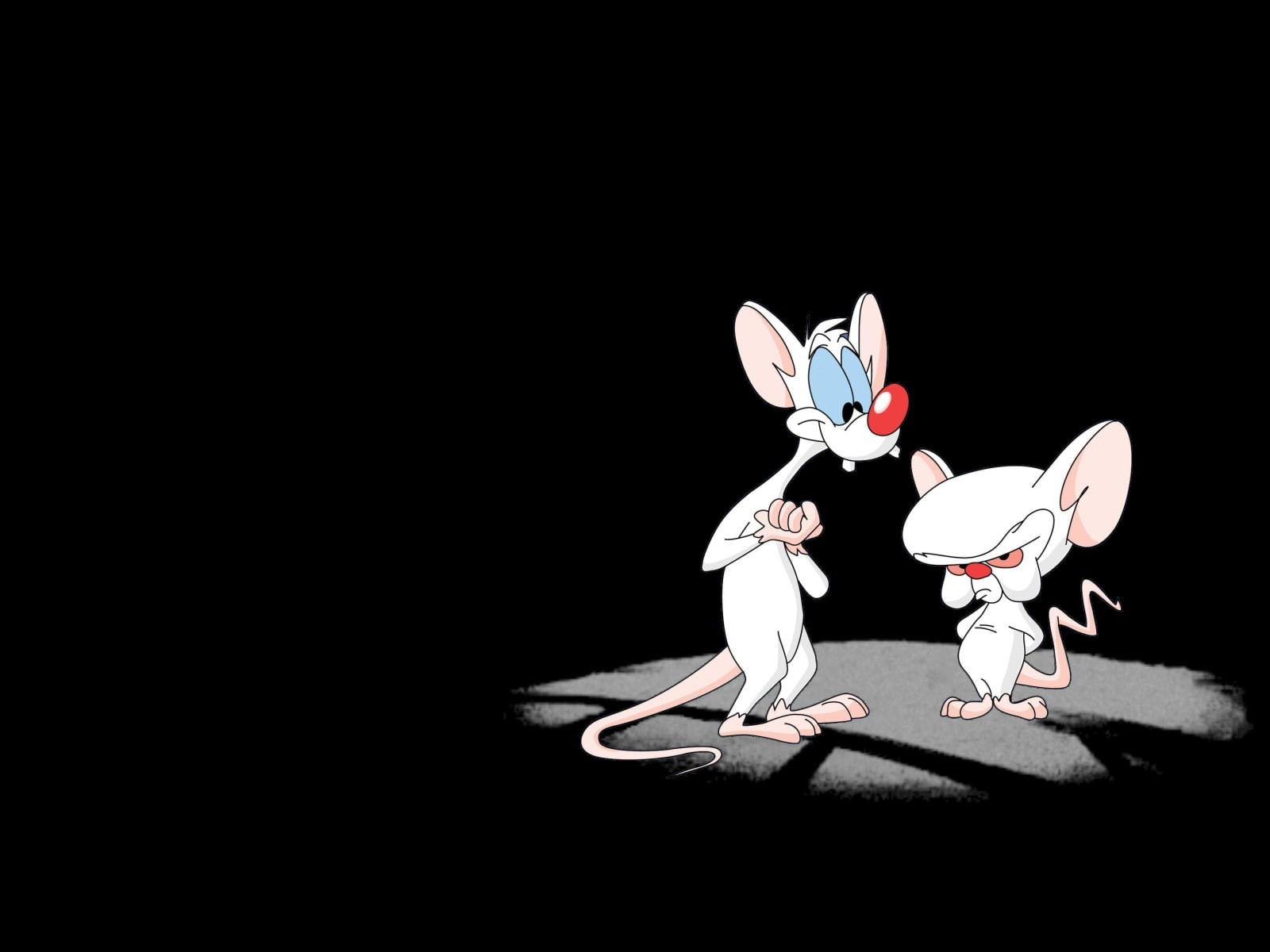 brain, illustration, hd, cartoon/comic, animaniacs, pinky, 720P, black, rat, and, the, HD Wallpaper