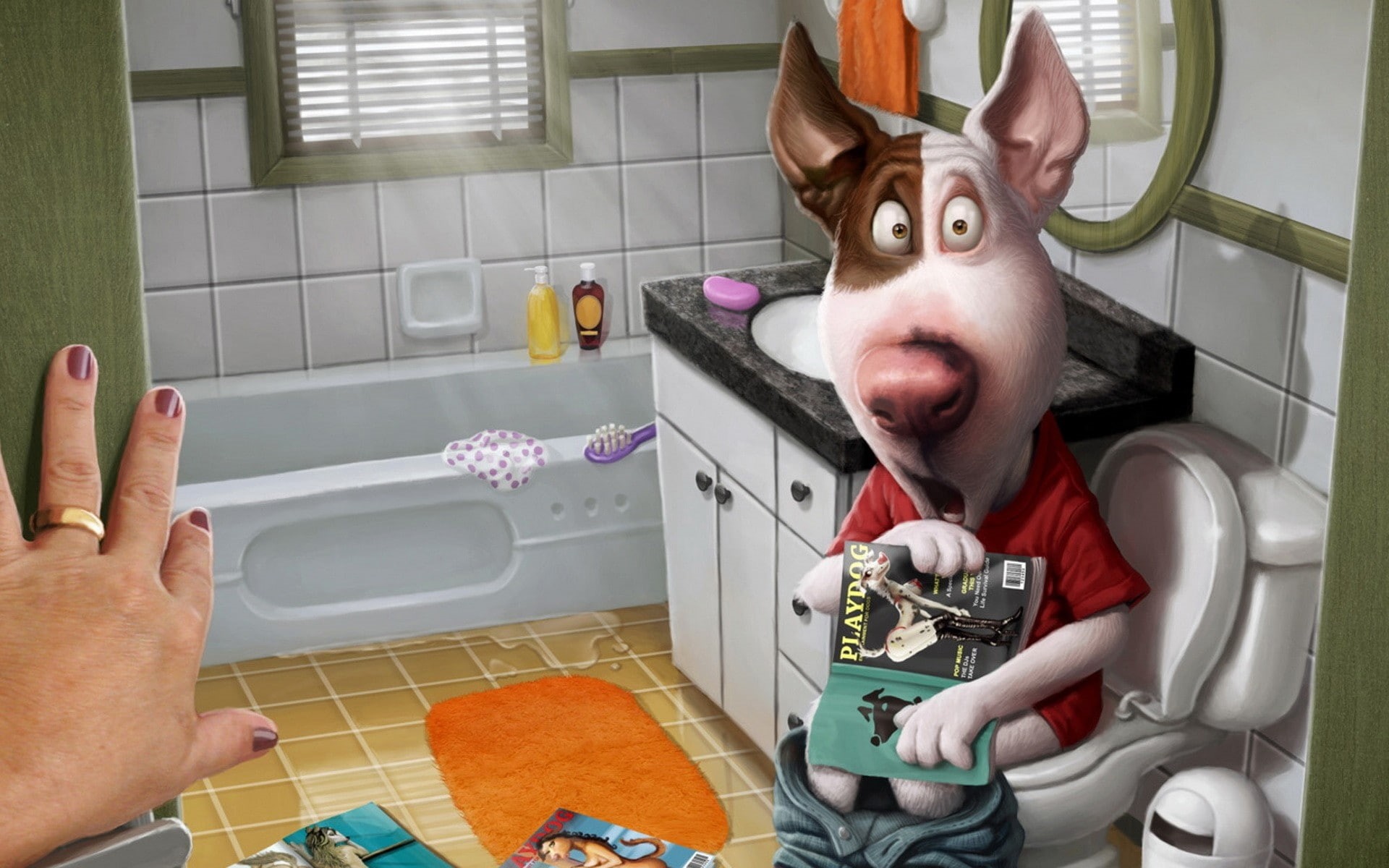 funny, 1080P, magazine, animals, art, playboy, dogs, x, toilets, hd, HD Wallpaper