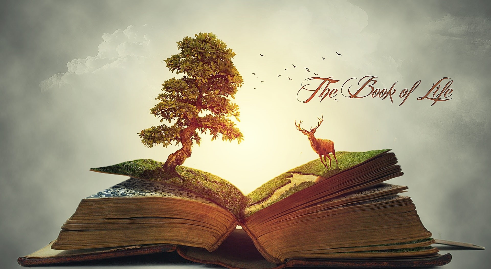 representation, flying, publication, sky, creativity, digital composite, bird, animal, animal wildlife, 1080P, books, tree, plant, no people, cloud - sky, HD Wallpaper