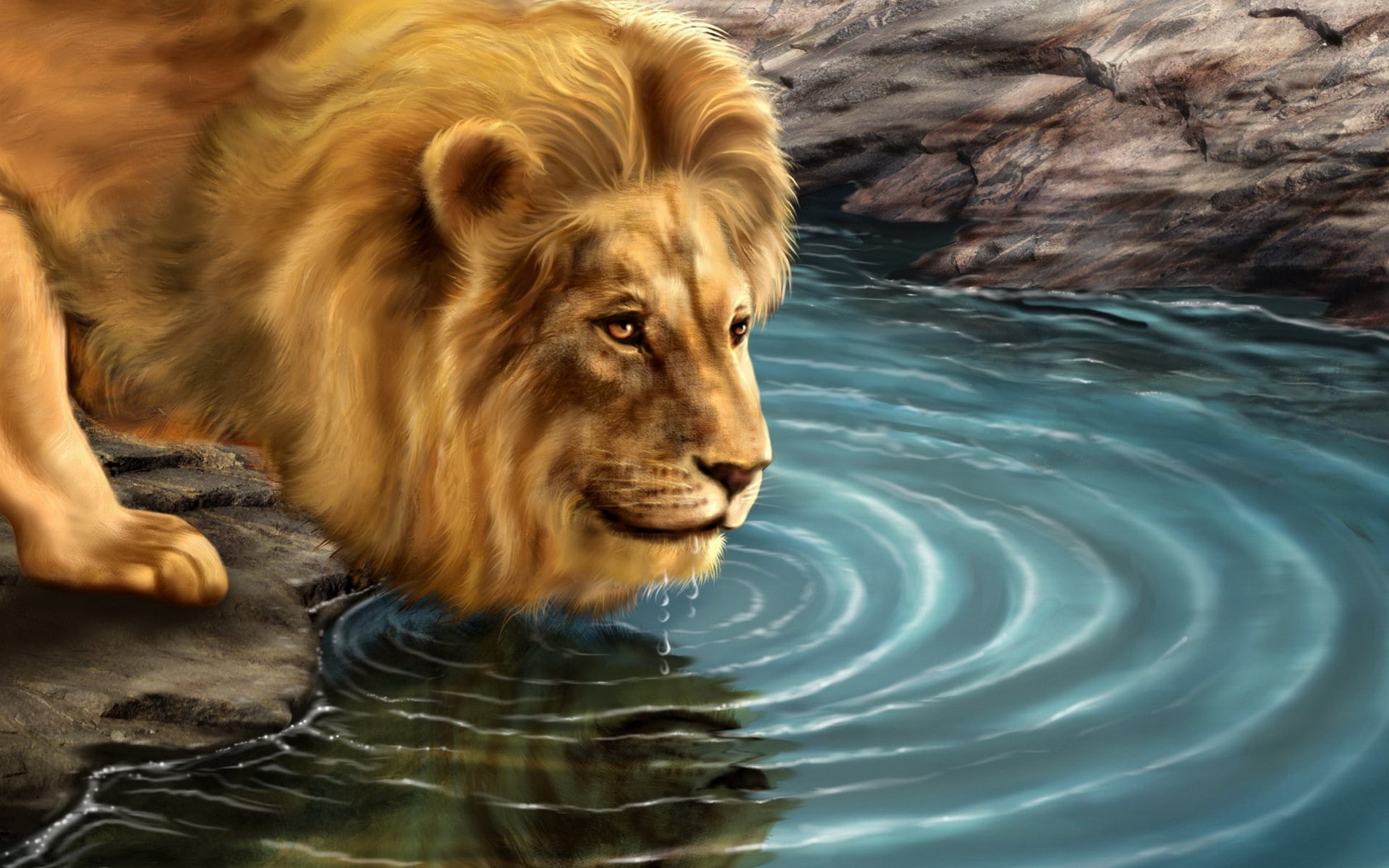 creative, artistic, abstraction, 1080P, lion, art, HD Wallpaper