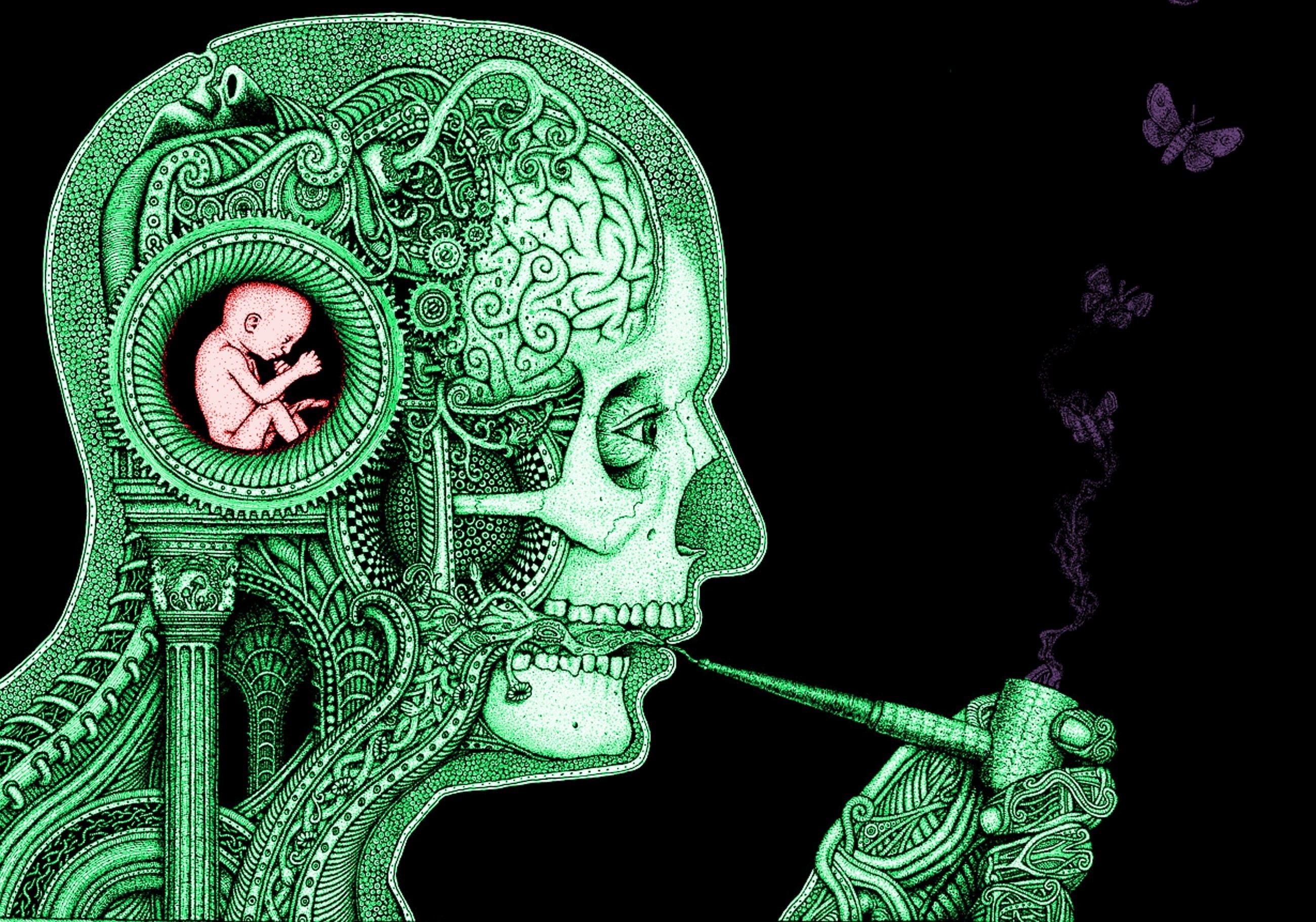 skull, science, baby, brain, clockwork, 2K, smoking, butterfly, gears, artwork, HD Wallpaper