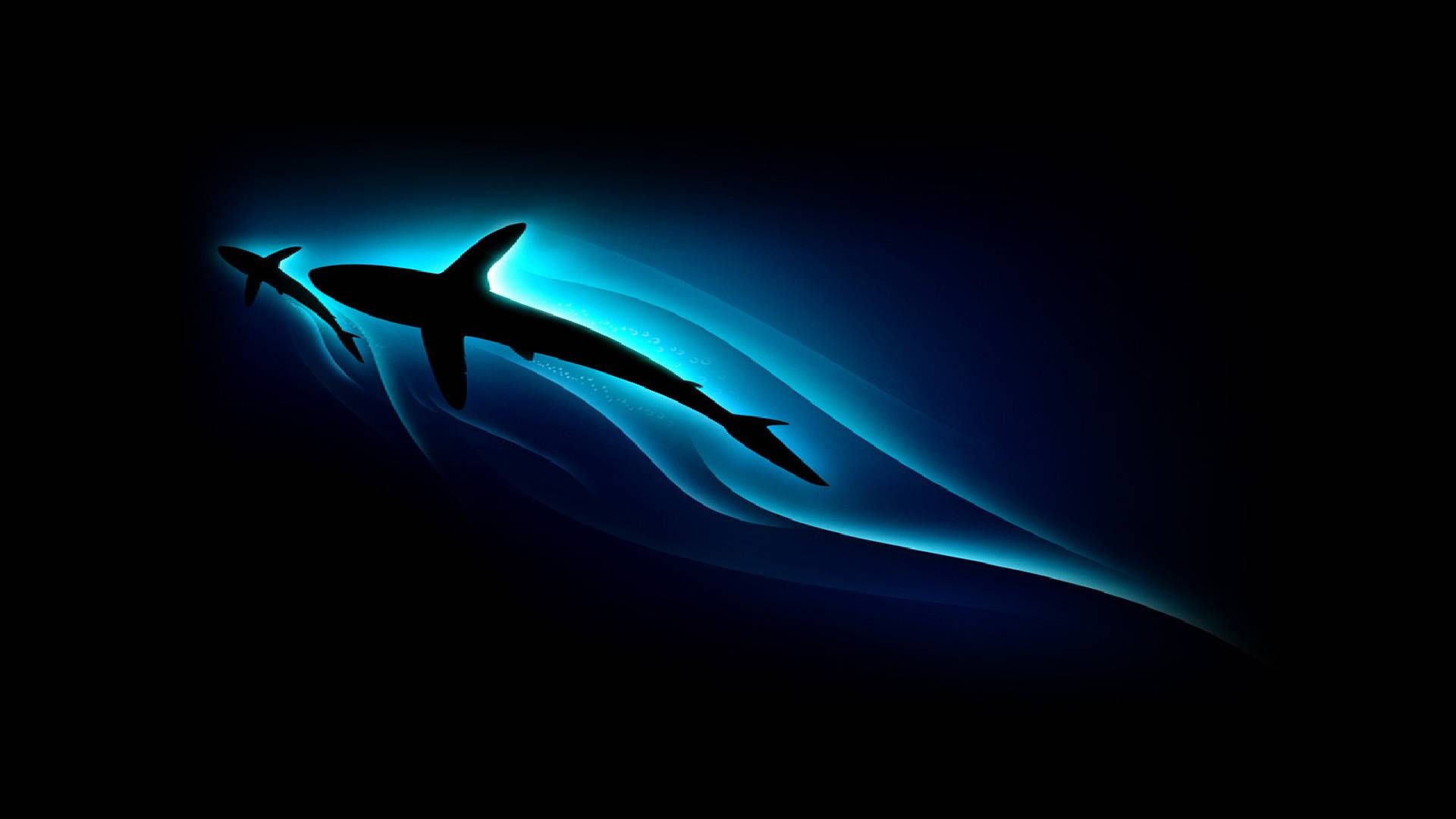 lights, dark, dark background, art, 1080P, background, sharks, HD Wallpaper