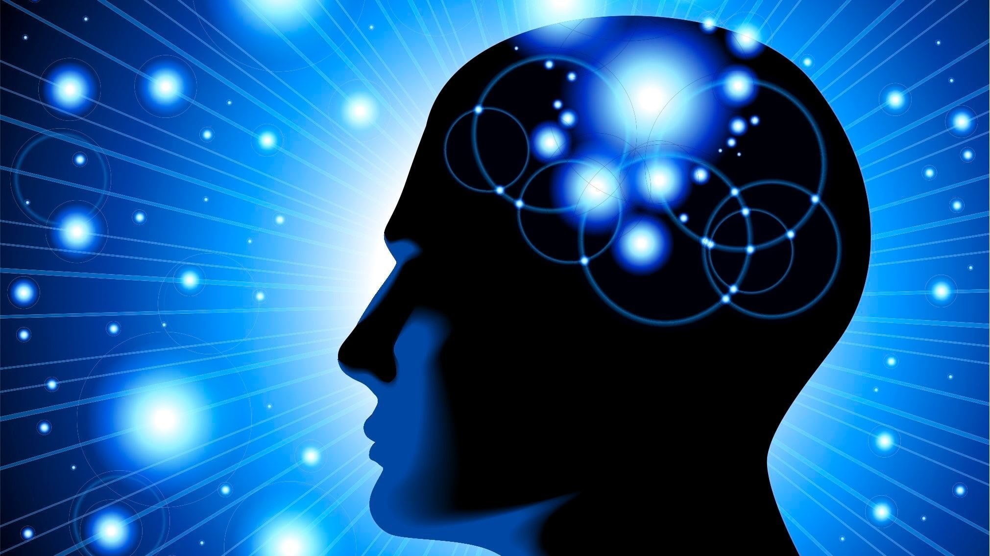 digital composite, computer network, computer, blue, d, wireless technology, digital, x, internet, head, one person, shiny, skull, technology, human body part, HD Wallpaper