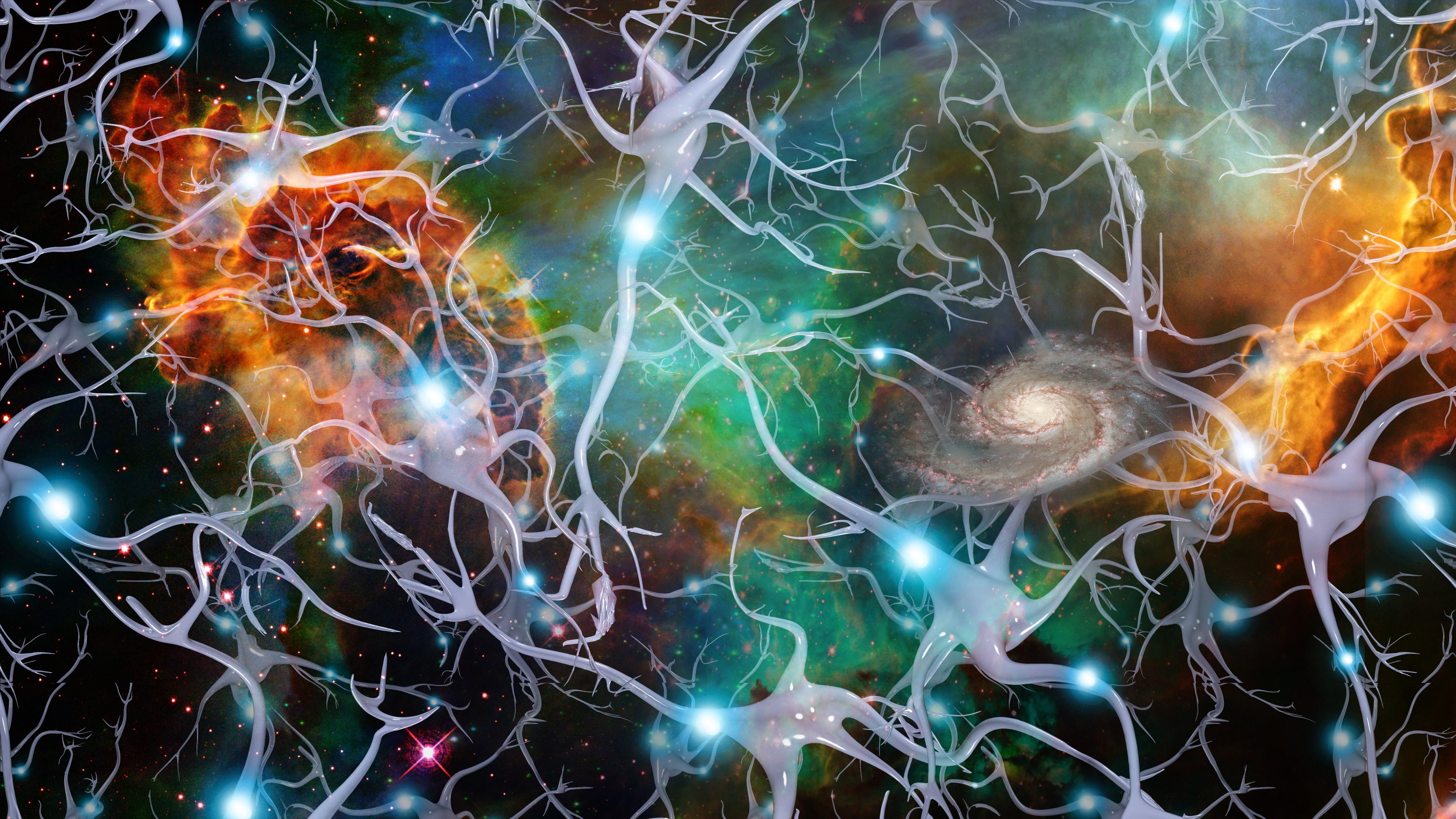 animal themes, stars, glowing, XRAY, Medical, animal wildlife, nature, marine, no people, illuminated, full frame, underwater, backgrounds, abstract, brain, HD Wallpaper