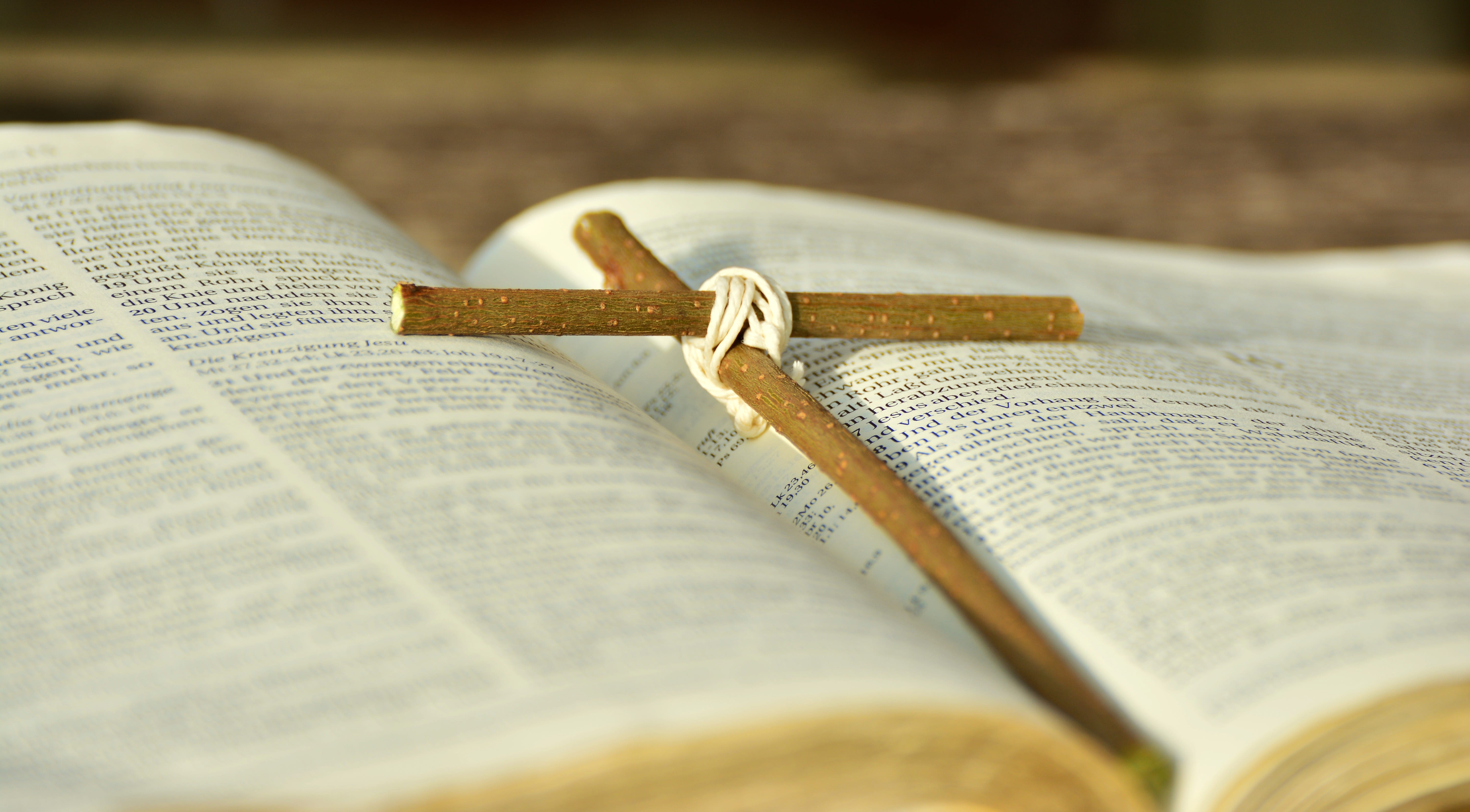 paper, text, open, still life, Bible, opened, resurrection, two objects, holy scripture, Good Friday, indoors, hope, belief, brown, Easter, easter story, HD Wallpaper