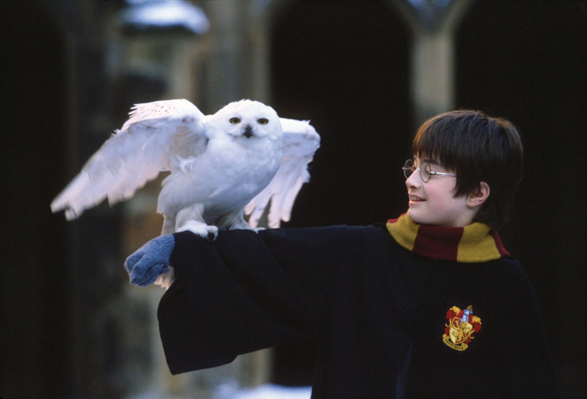 Harry Potter, 1080P, Daniel Radcliffe, Harry Potter and the Philosophers Stone, HD Wallpaper