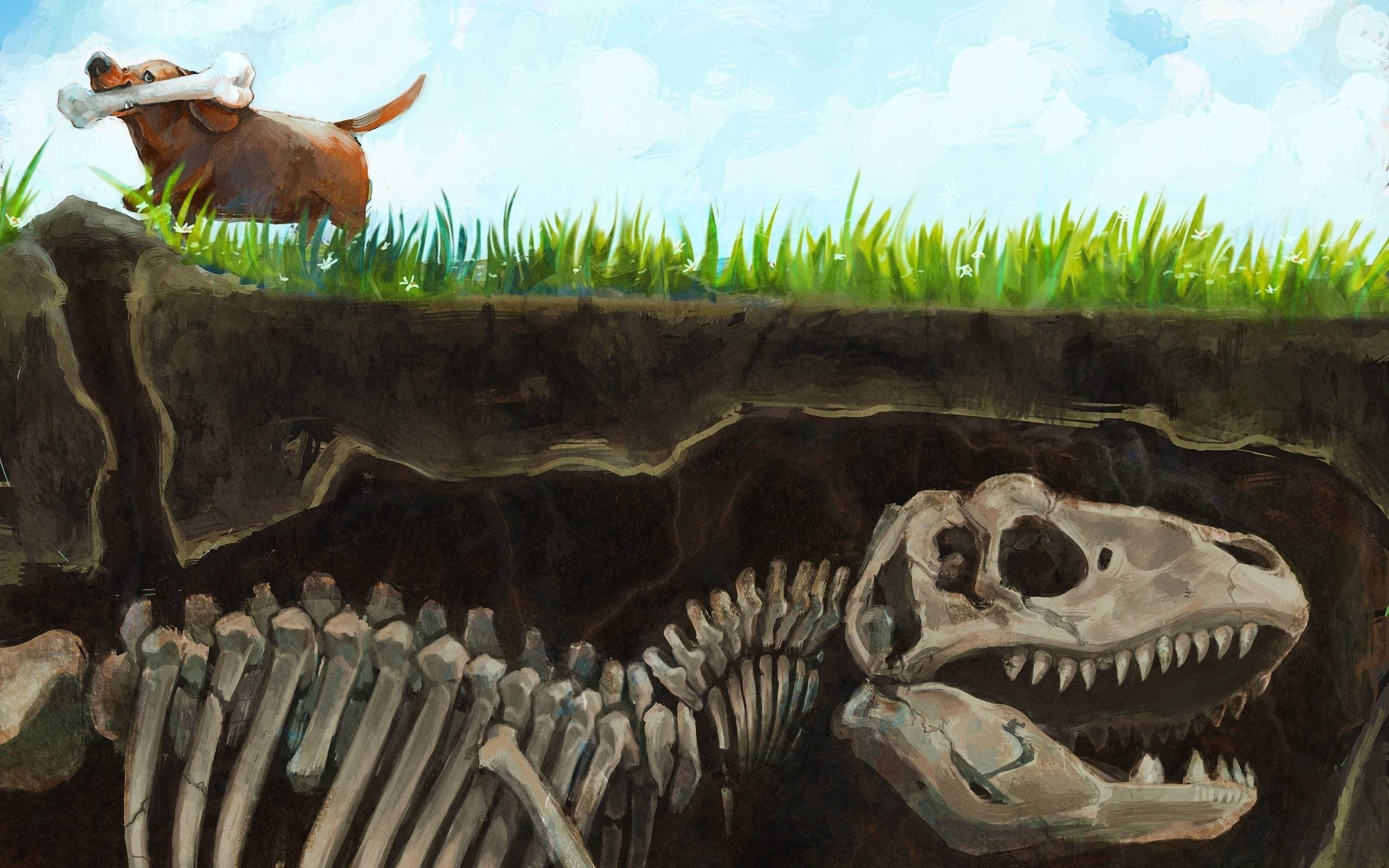 evolution, dog, bones, painting, art and craft, plant, domestic, dinosaurs, animal themes, creativity, vertebrate, outdoors, craft, split view, animals, HD Wallpaper