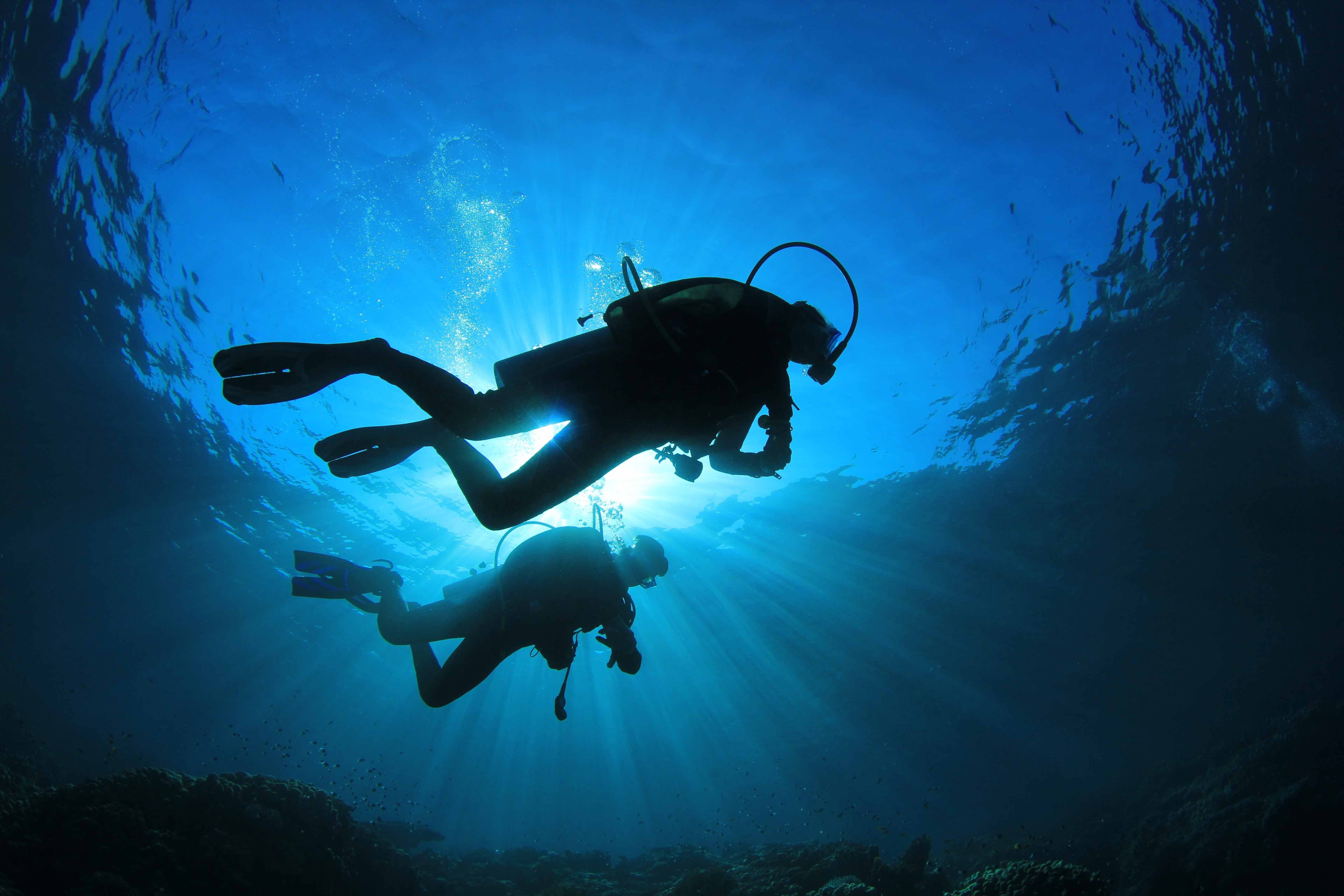 5K, diving, underwater, scuba, ocean, diver, sea, HD Wallpaper