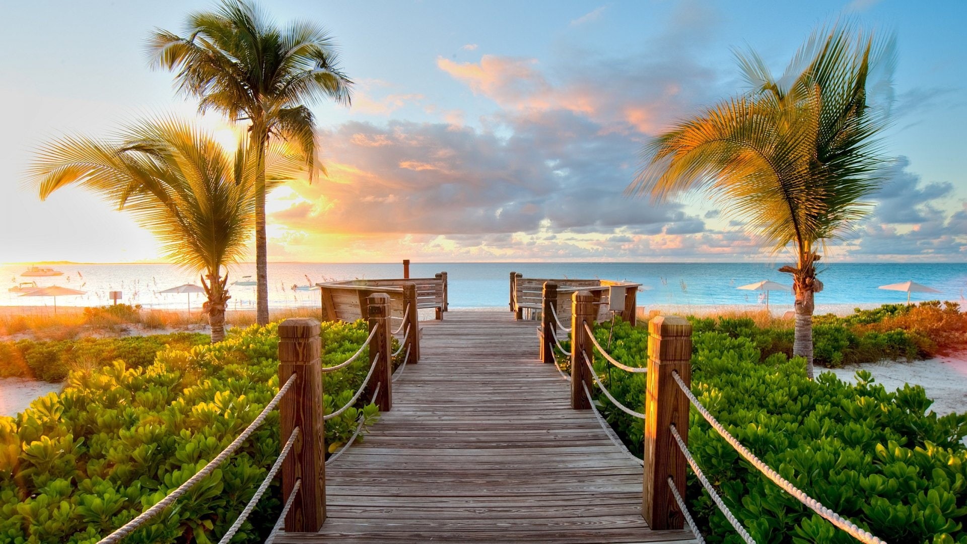 tranquility, sky, beauty in nature, beach, horizon, tropical tree, no people, tranquil scene, coconut palm tree, view, direction, tropical climate, horizon over water, HD Wallpaper