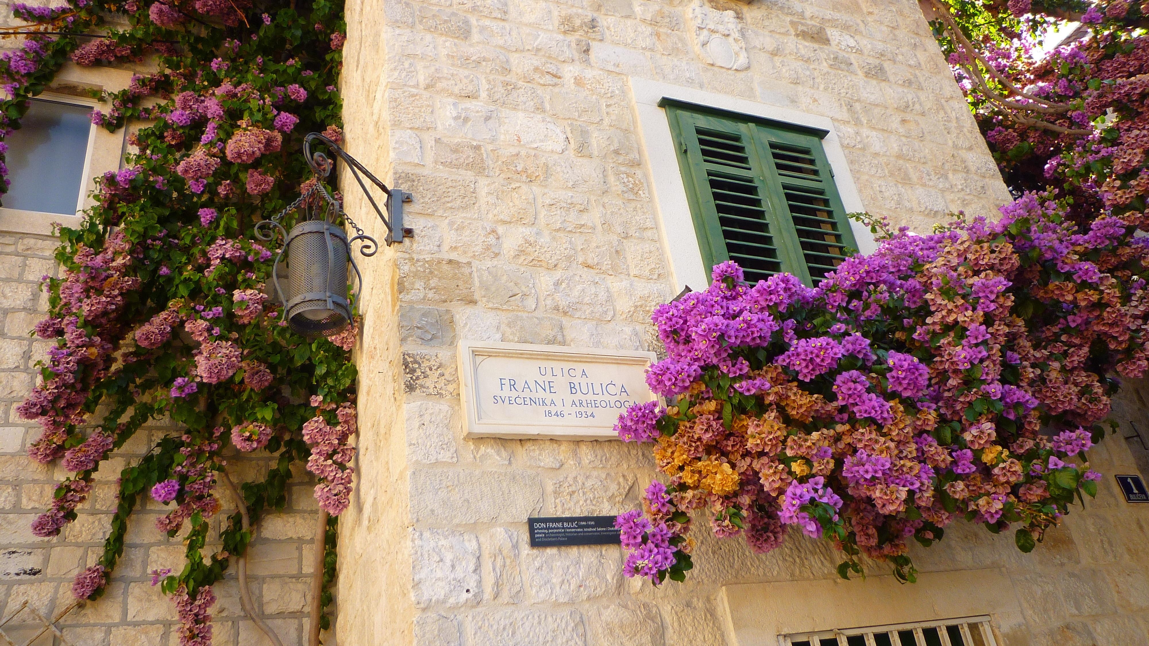 street-sign, split, croatia, 4K, street, flowers, HD Wallpaper