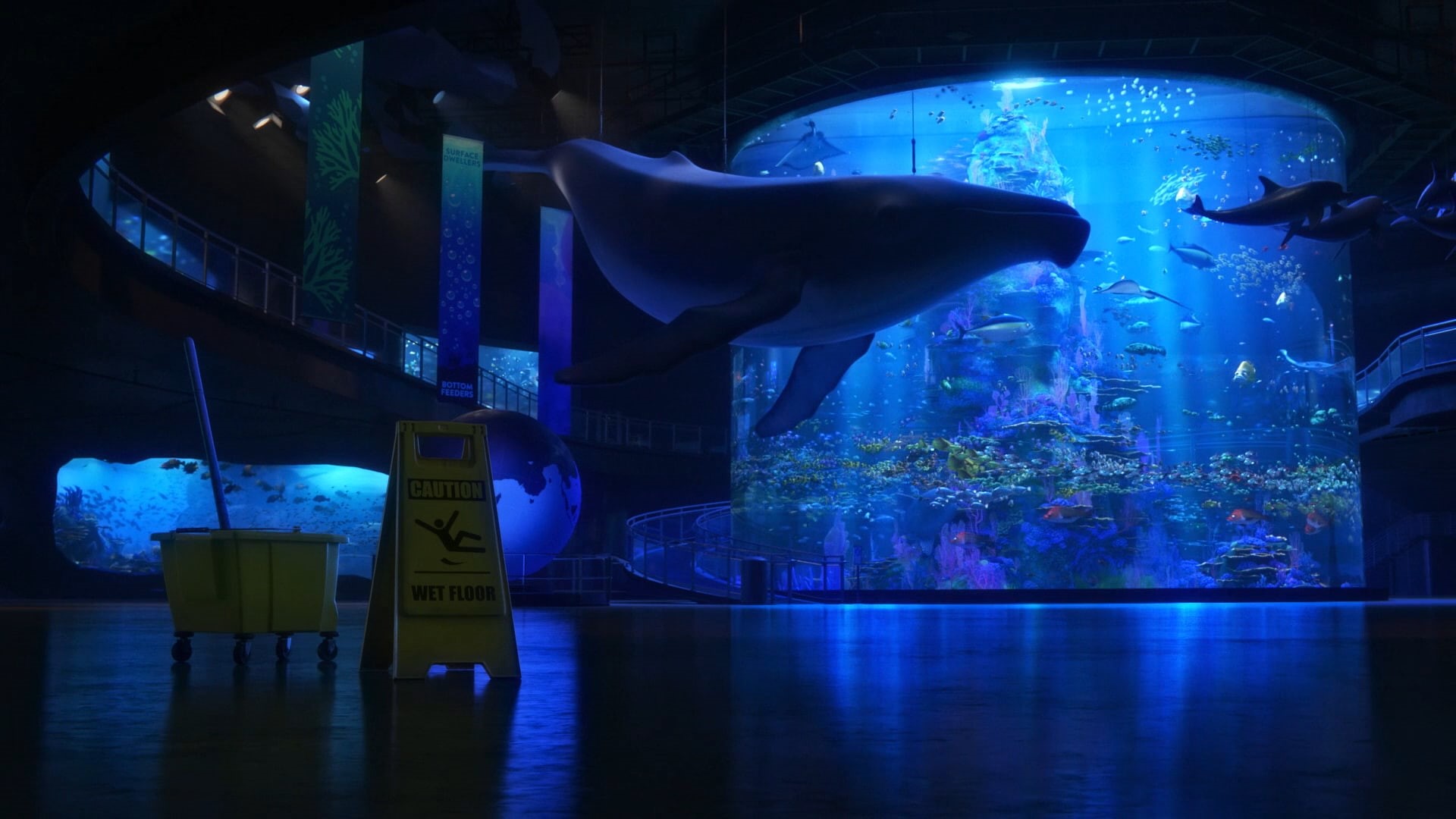 animal wildlife, movies, Pixar Animation Studios, no people, animal representation, representation, aquarium, art and craft, animal, animated movies, communication, HD Wallpaper