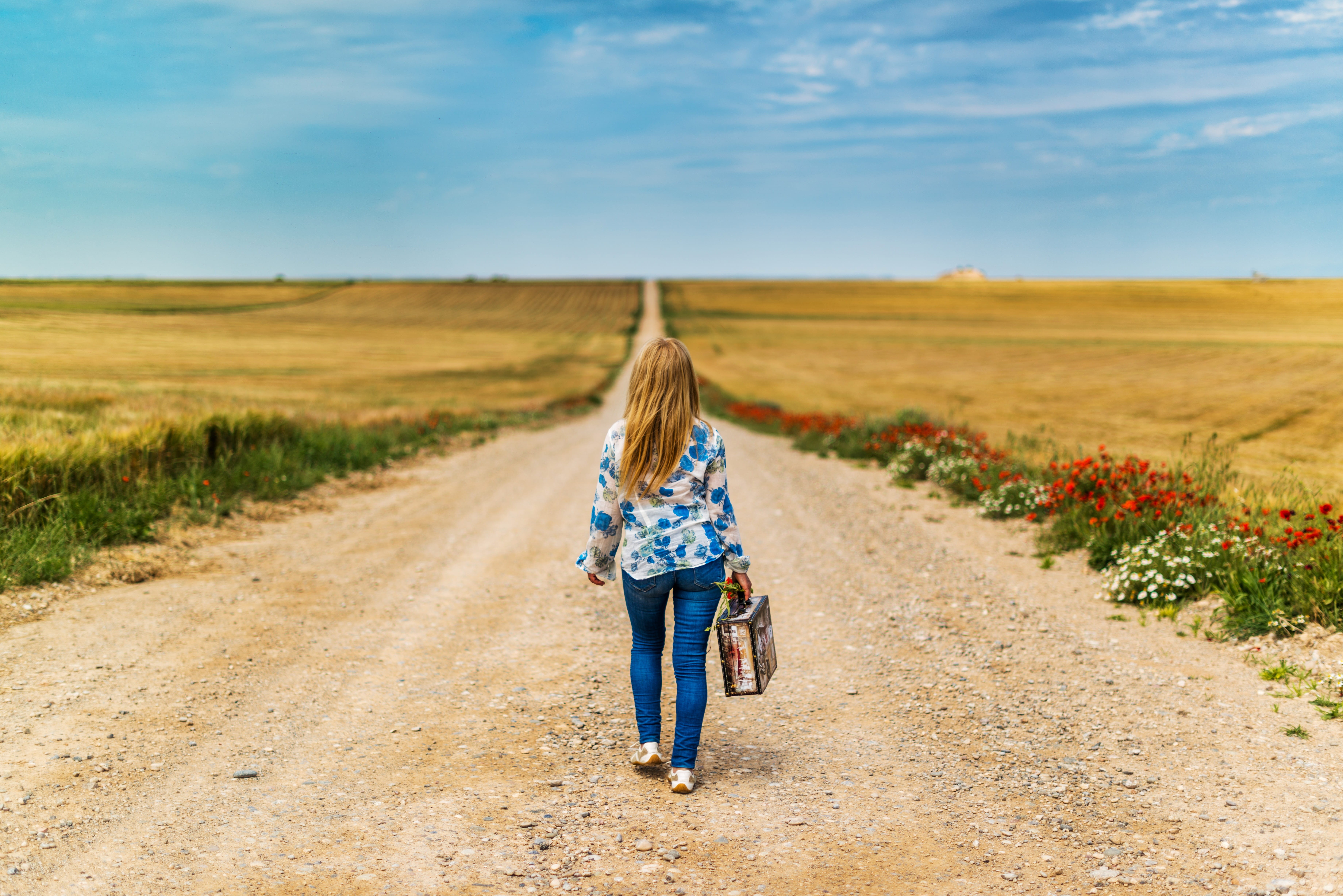 floral, nature, cereals, caucasian Ethnicity, one Person, on road, 5K, solo, middle, full length, cornfield, path, young, long, road holding, sky, road, HD Wallpaper