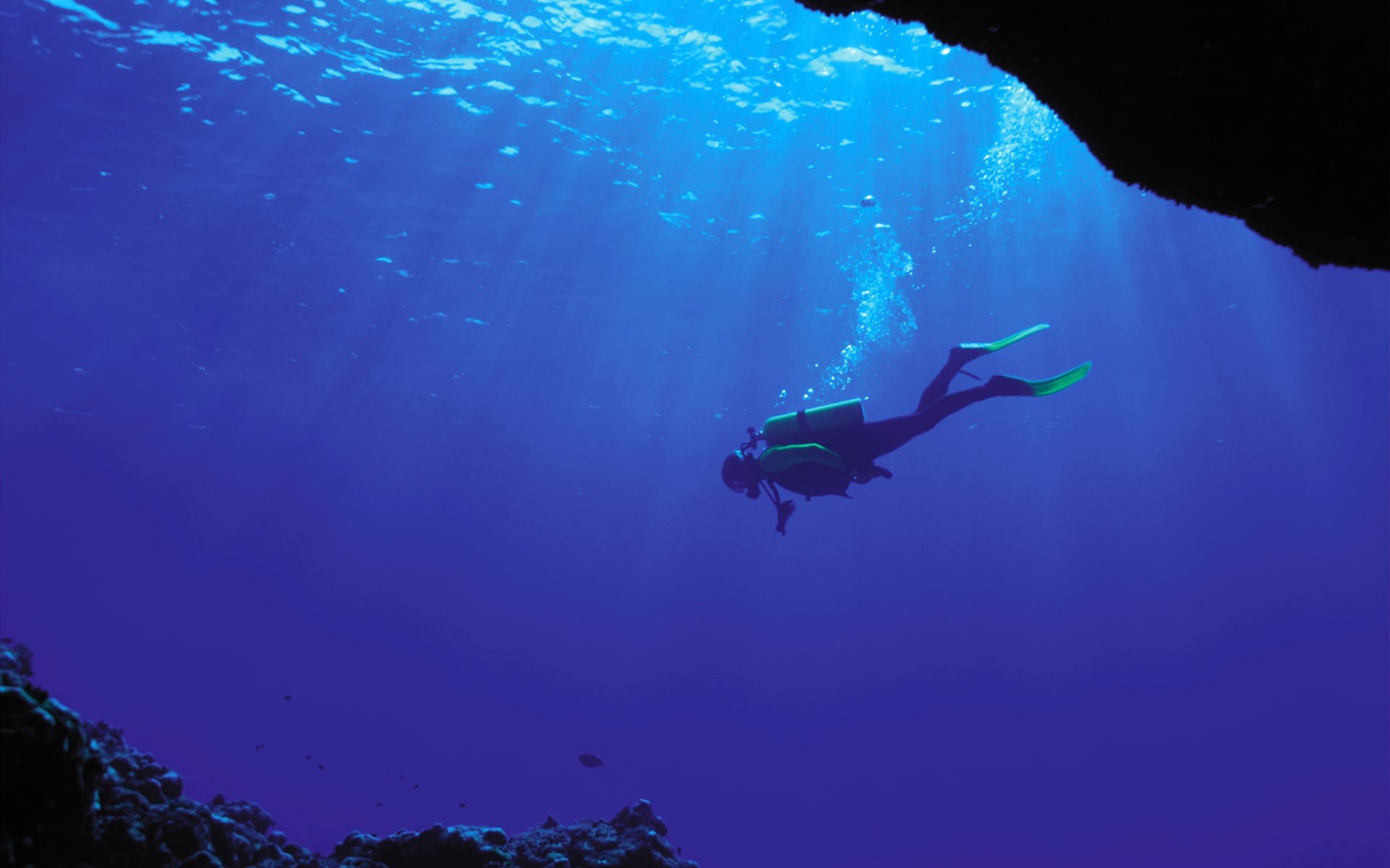 exploration, underwater diving, 1080P, undersea, photography, sea, nature, aquatic sport, bubbles, water, leisure activity, sport, lifestyles, underwater, HD Wallpaper