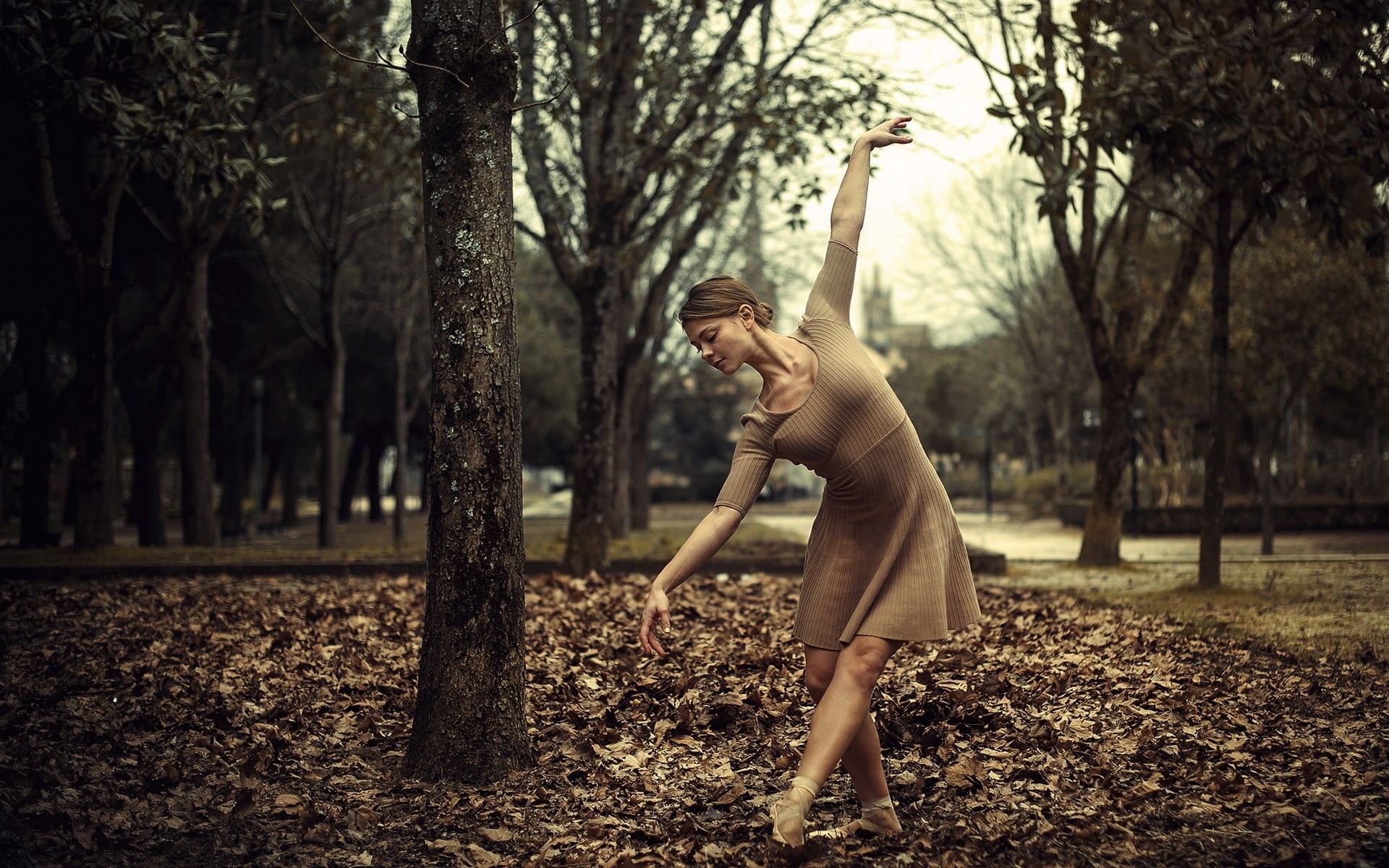 ground, real people, dress, ballerina, tree trunk, nature, dried, leaves, outdoors, land, child, tree, wearing, plant, dancing, standing, 1080P, full length, HD Wallpaper