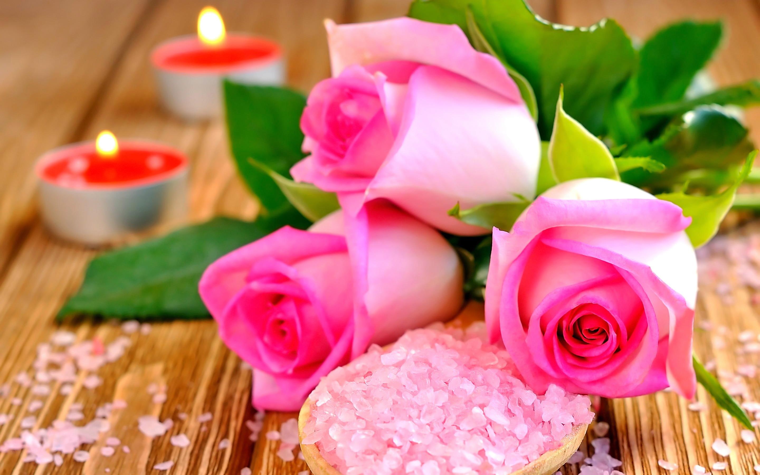 beauty, beautiful, life, softness, pink, roses, romantic, still, candles, flowers, still-life, soft, 2K, HD Wallpaper