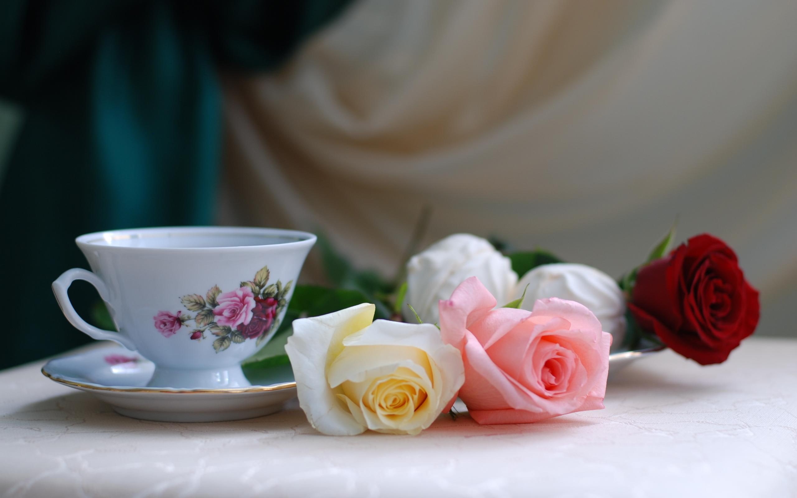 2K, tea, breakfast, still life, still, nature, beautiful, drink, flowers, 3d and abstract, rose, life, roses, cute, HD Wallpaper
