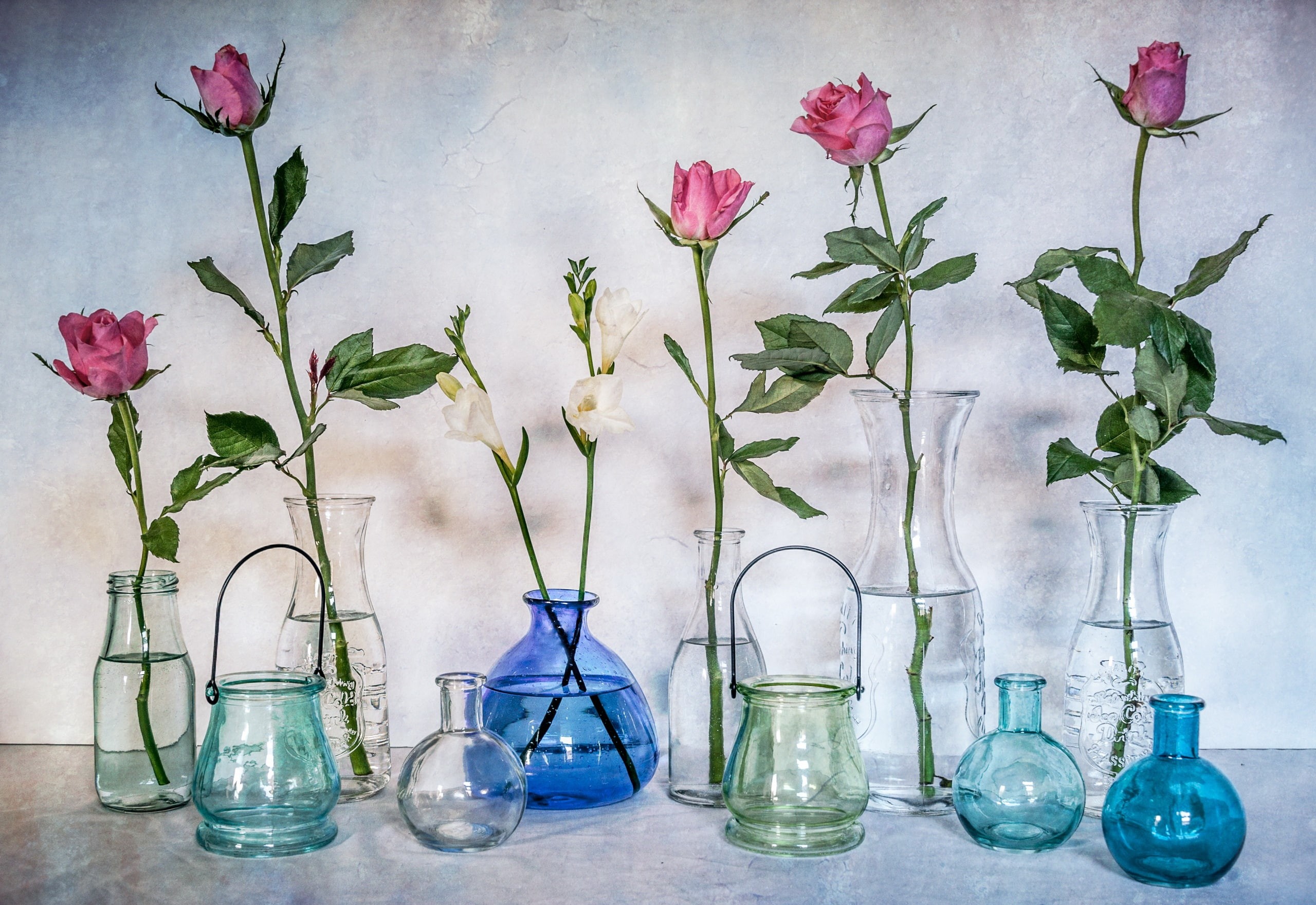 2K, vase, arrangement, flowers, still life, plant, vases, jar, close-up, flower, beauty in nature, glass - material, fragility, growth, freshness, side by side, HD Wallpaper