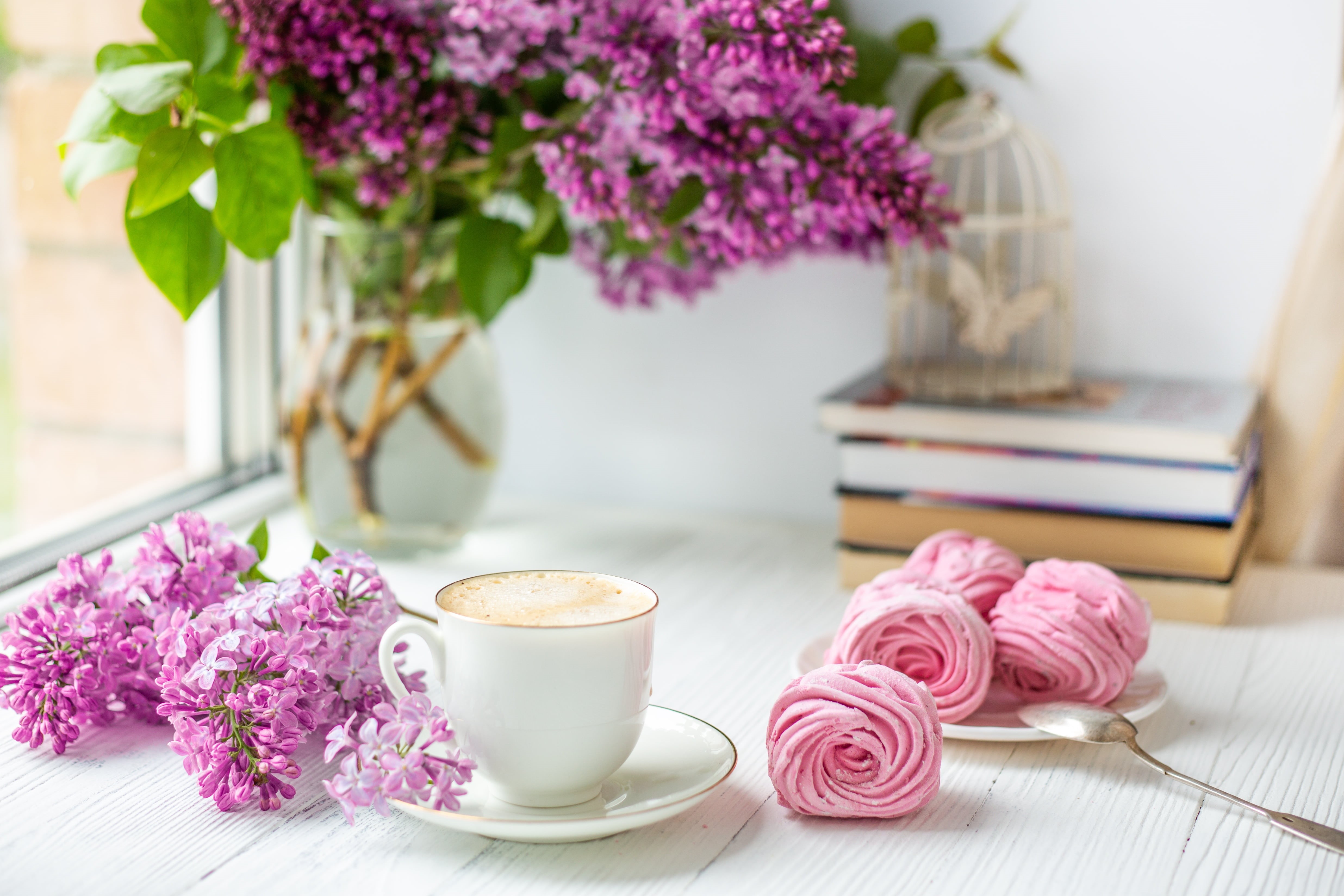 Coffee, Food, Still Life, Lilac, Book, Flower, Pink Flower, 4K, HD Wallpaper