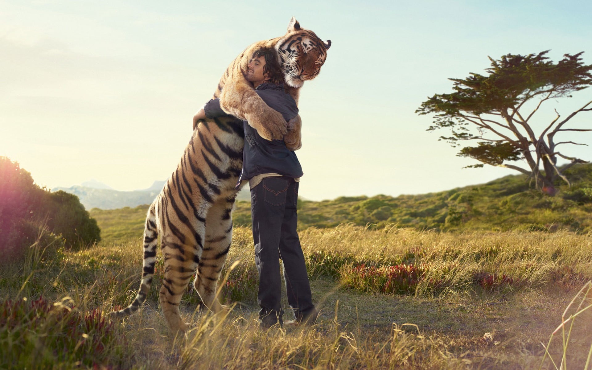 vertebrate, land, hugging, guys, animal themes, tiger, 1080P, domestic, outdoors, pets, day, tree, animal, domestic animals, environment, no people, men, HD Wallpaper