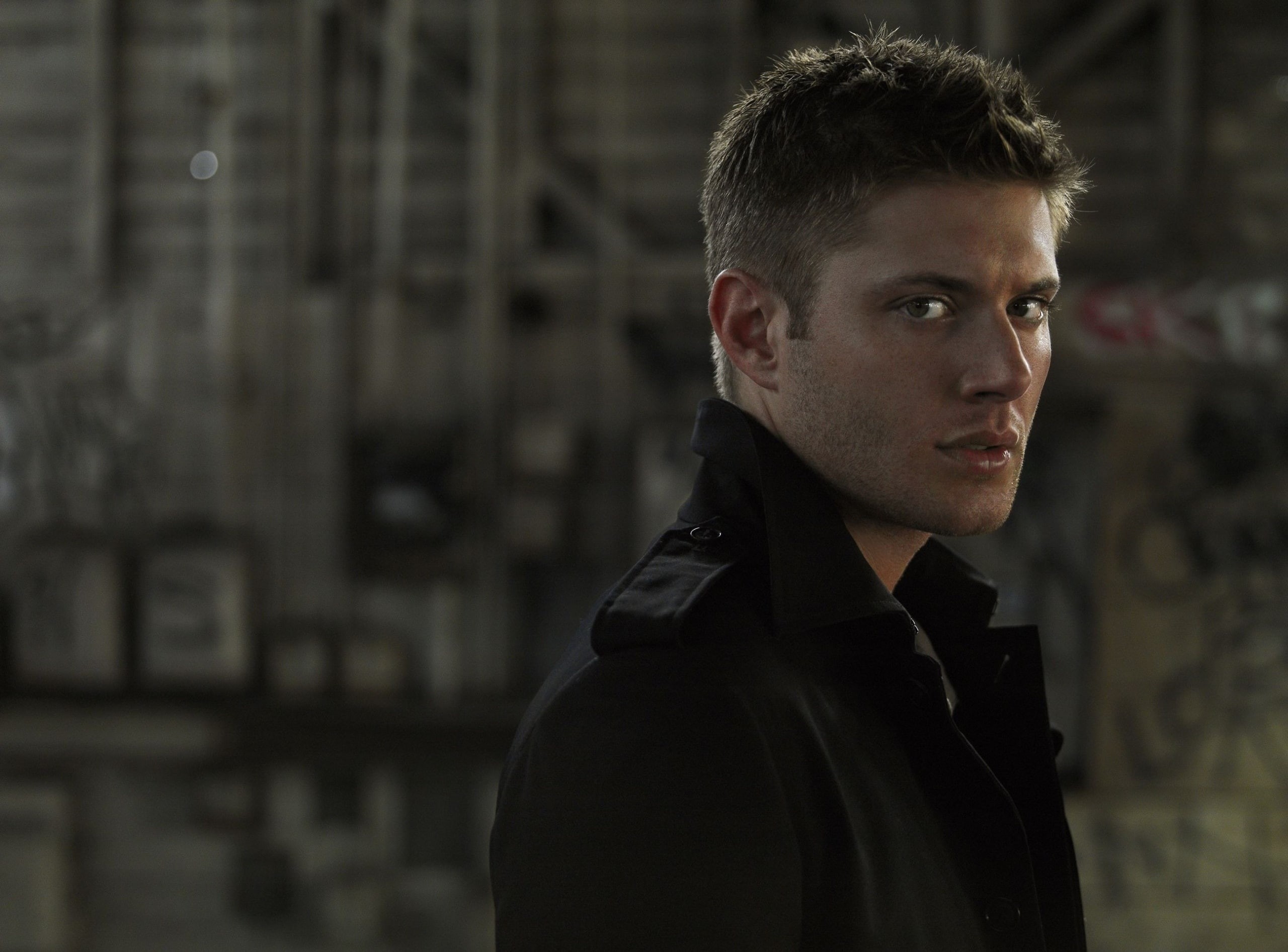 looking at camera, one person, Ackles, Supernatural, contemplation, young men, standing, men, headshot, 2K, handsome, business, beautiful people, focus on foreground, HD Wallpaper