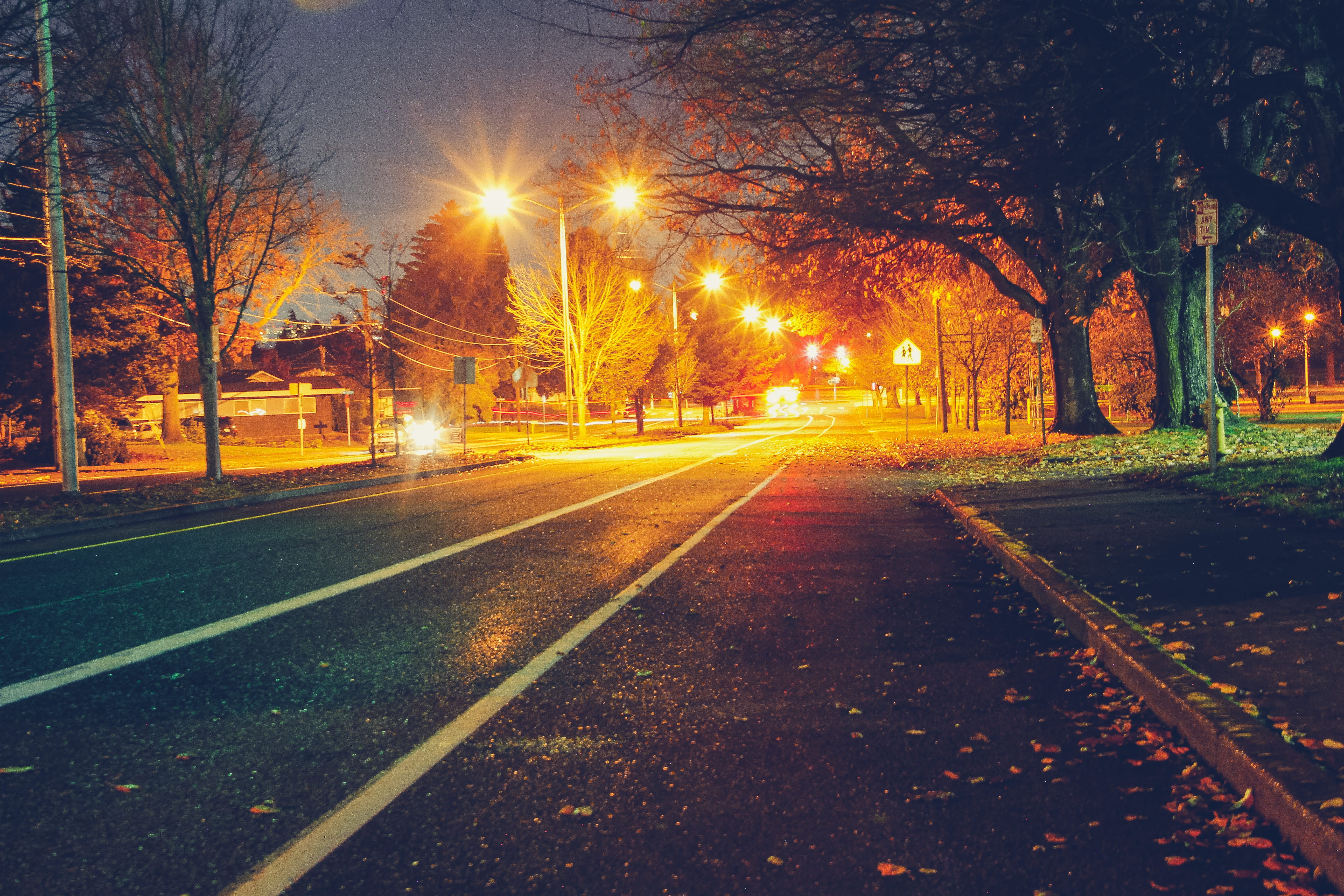lighted, track, outdoors, illuminated, path, no people, direction, tarmac, nature, plant, transportation, empty, highway, tree, person, architecture, human, HD Wallpaper