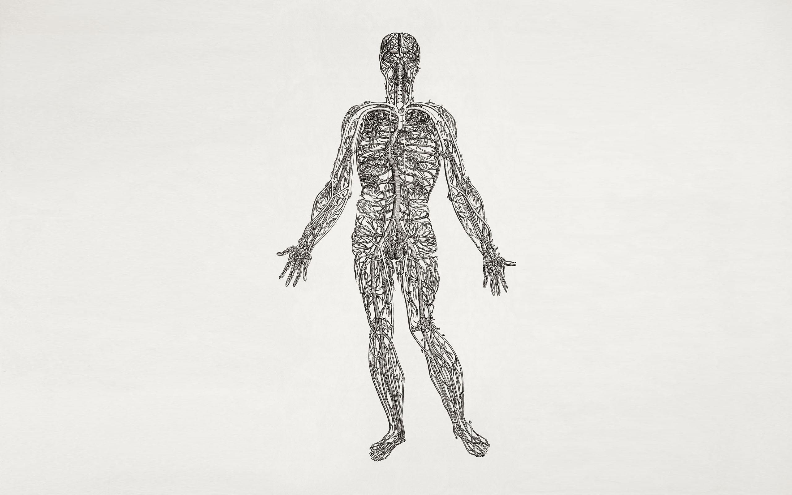 day, no people, sketch, cut out, metal, studio shot, hanging, low angle view, art and craft, medicine, close-up, copy space, indoors, science, wall - building feature, HD Wallpaper