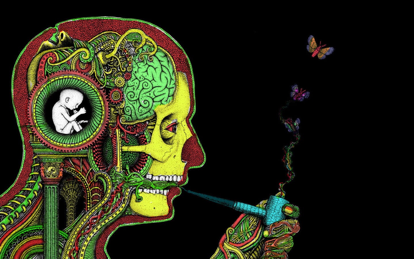 butterfly, Dark, mood, skull, psychedelic, marijuana, art, Anatomy, 720P, HD Wallpaper