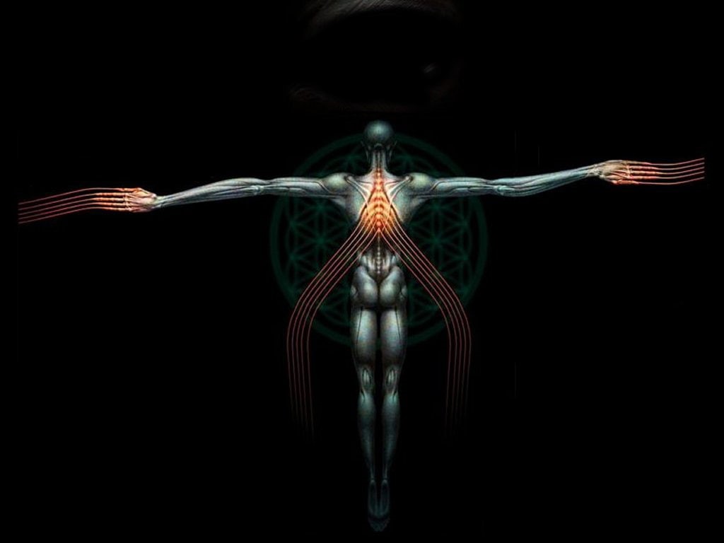 logo, tool, anatomy, 480P, hd, human, music, HD Wallpaper