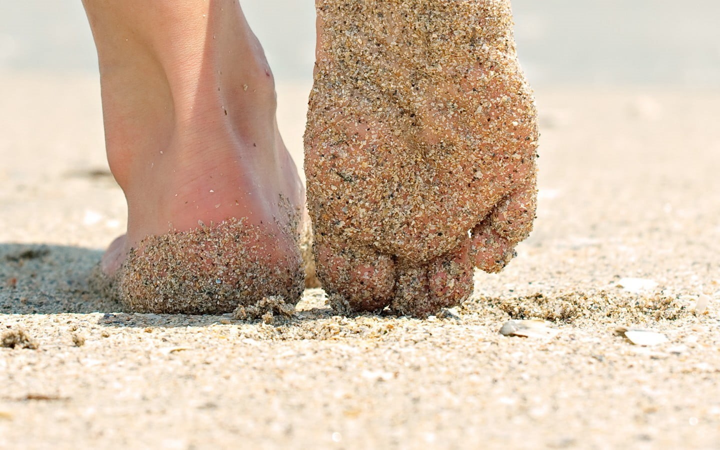 sea, sunlight, 720P, nature, messy, selective focus, one person, feet, dirty, water, day, human limb, sand, human foot, standing, human leg, barefoot, HD Wallpaper