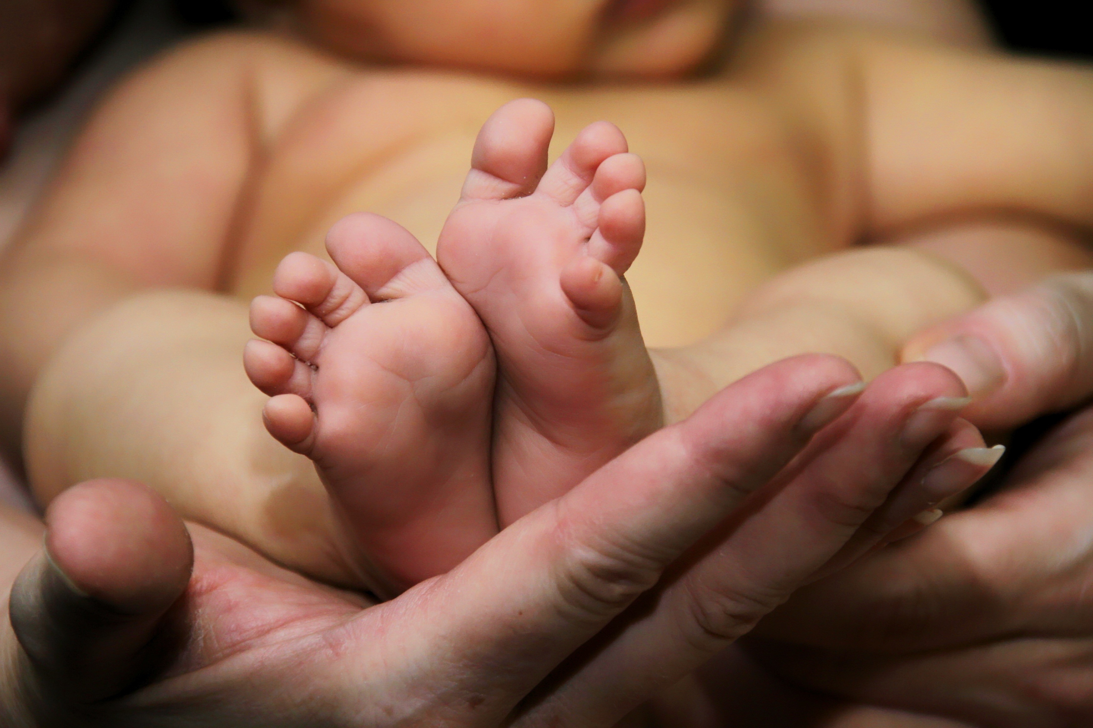 sole of the foot, young, person, human, people, childhood, childrens feet, hand, baby, care, love, small child, newborn, reborn, barefoot, human Hand, 2K, HD Wallpaper