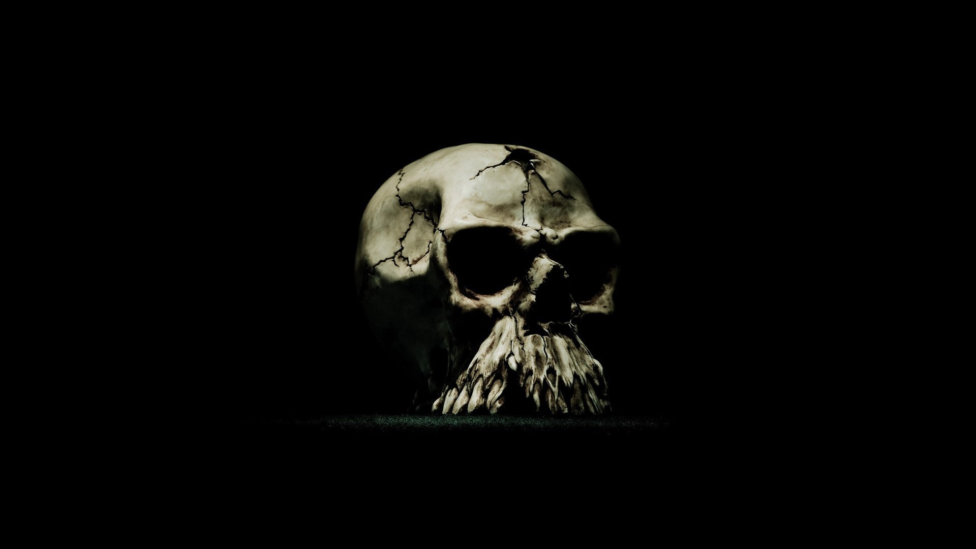 close-up, 1080P, fear, anatomy, human bone, bone, human body part, horror, body part, skull, the past, minimalism, black background, history, indoors, HD Wallpaper