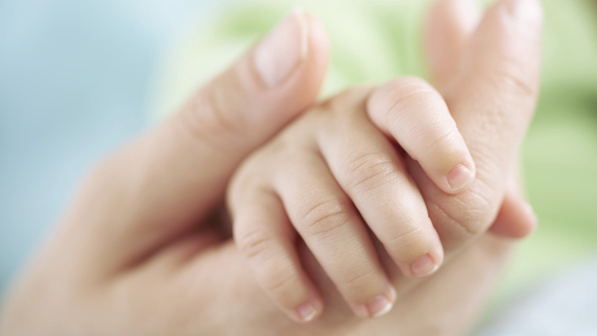 body part, one Person, holding, newborn, hand, security, adult, cute, human Skin, human Hand, innocence, people, softness, females, family, healthcare And Medicine, HD Wallpaper