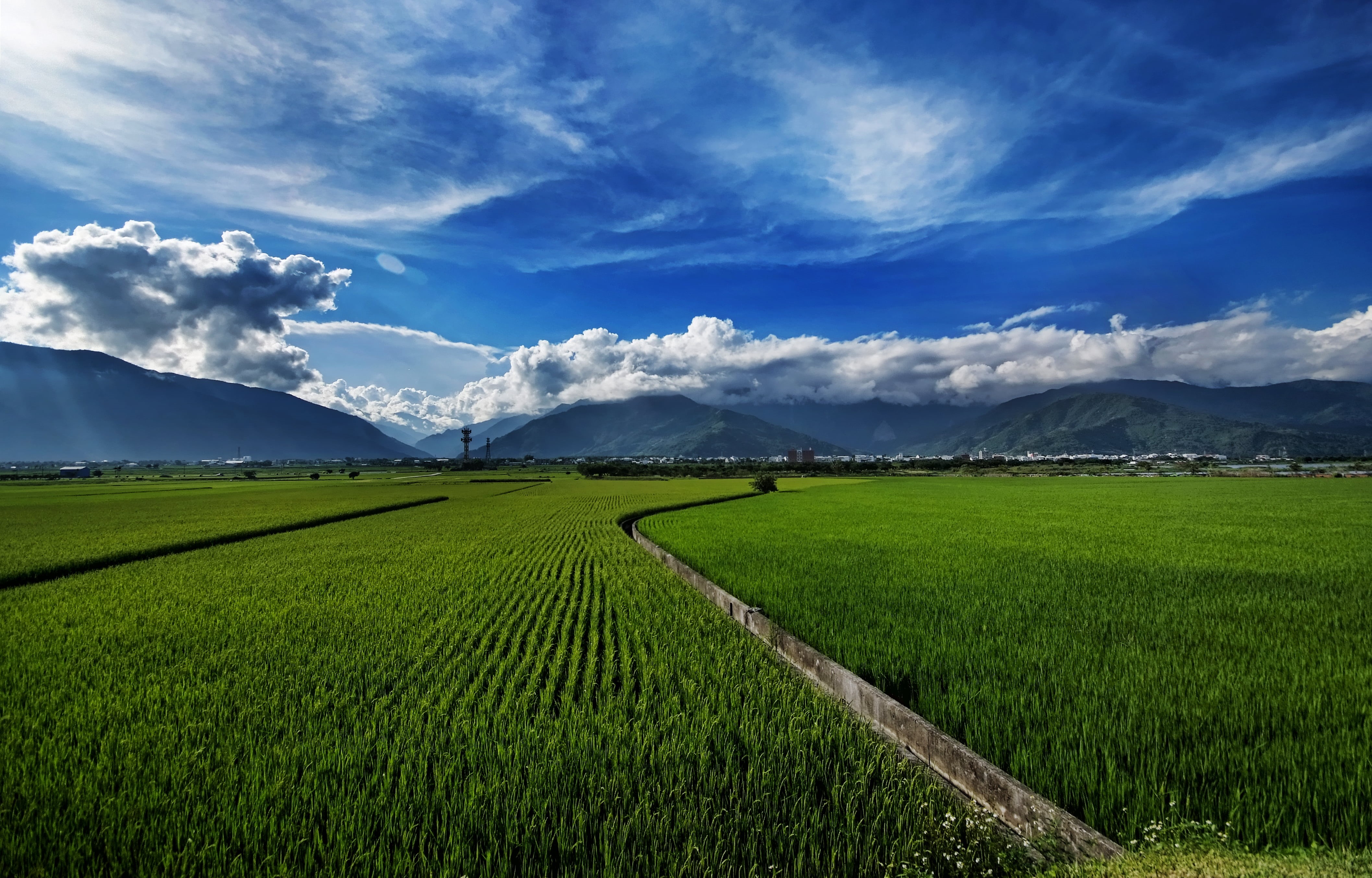 outdoors, meadow, agriculture, Memories, mountain, rural Scene, ©all, rice Paddy, near, field, green farm, scenics, 4K, Feast, tourism, remote, green, HD Wallpaper