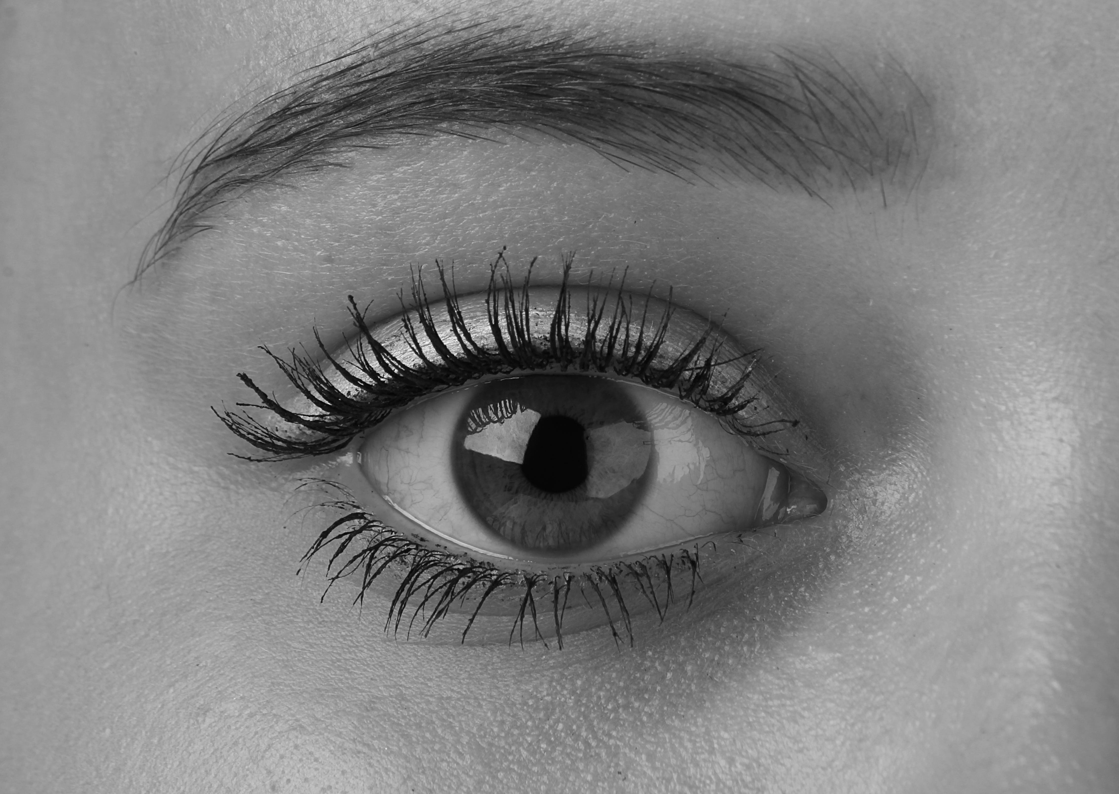 eyebrow, photo, face, concepts And Ideas, body part, eyeball, version, 4K, macro photography, girl, head, adult, beauty, black And White, extreme close-up, HD Wallpaper