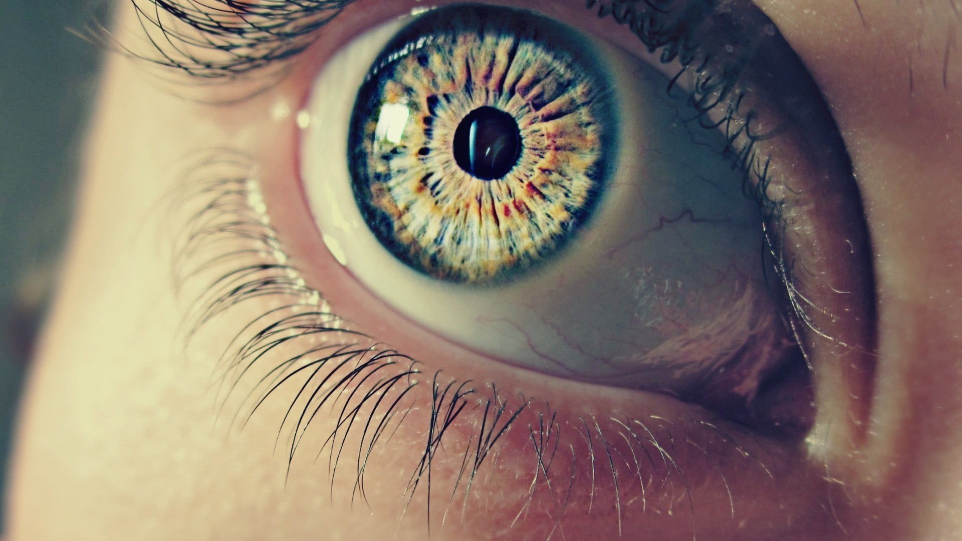 s, one Person, unrecognizable person, person, women, eyelash, view, closeup, watching, beautiful, females, iris - Eye, 1080P, reflection, human, human Eye, HD Wallpaper