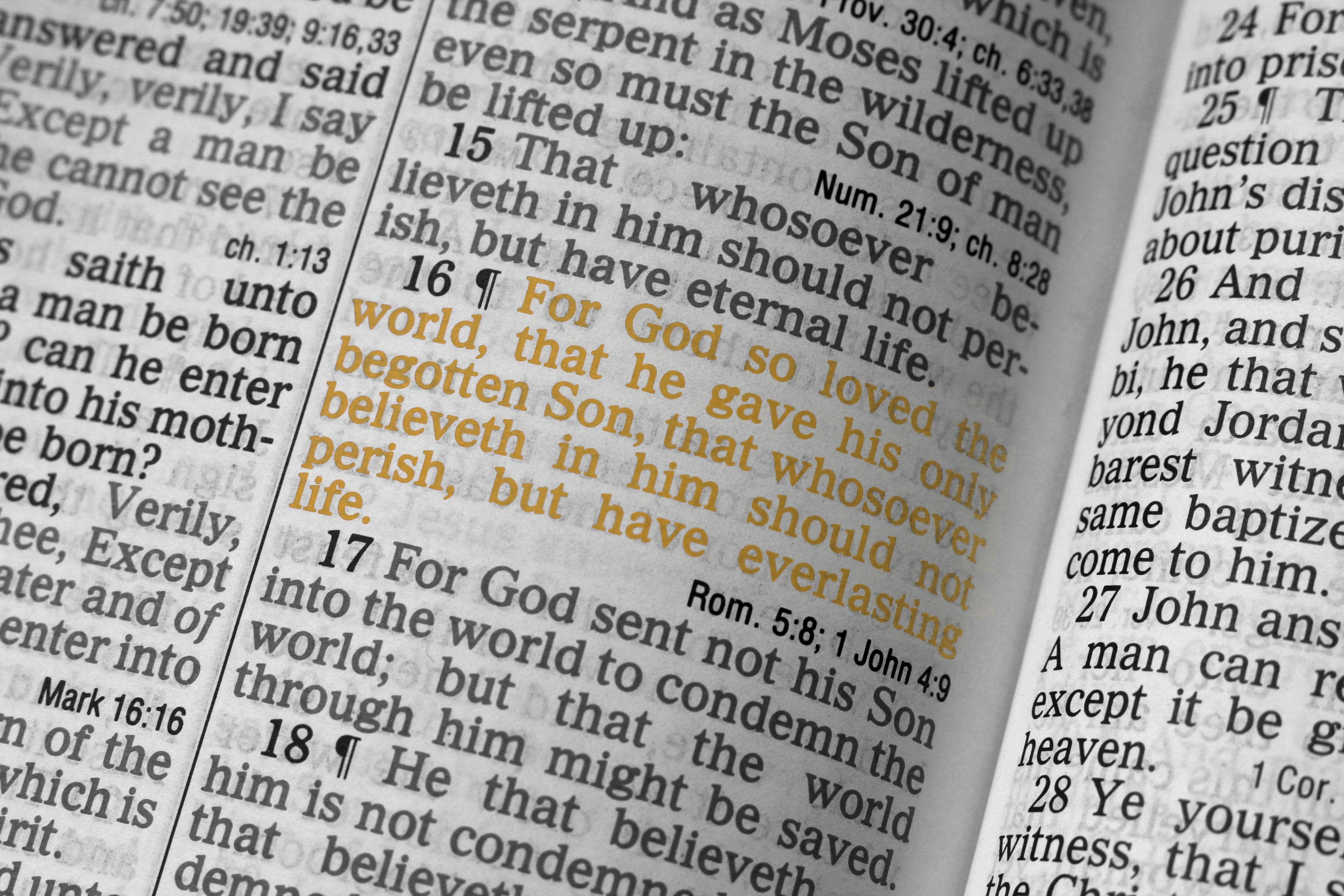 spirituality, scripture, no people, indoors, backgrounds, 5K, corporate business, western script, jesus, the media, economy, john 3 16, reading, planning, HD Wallpaper